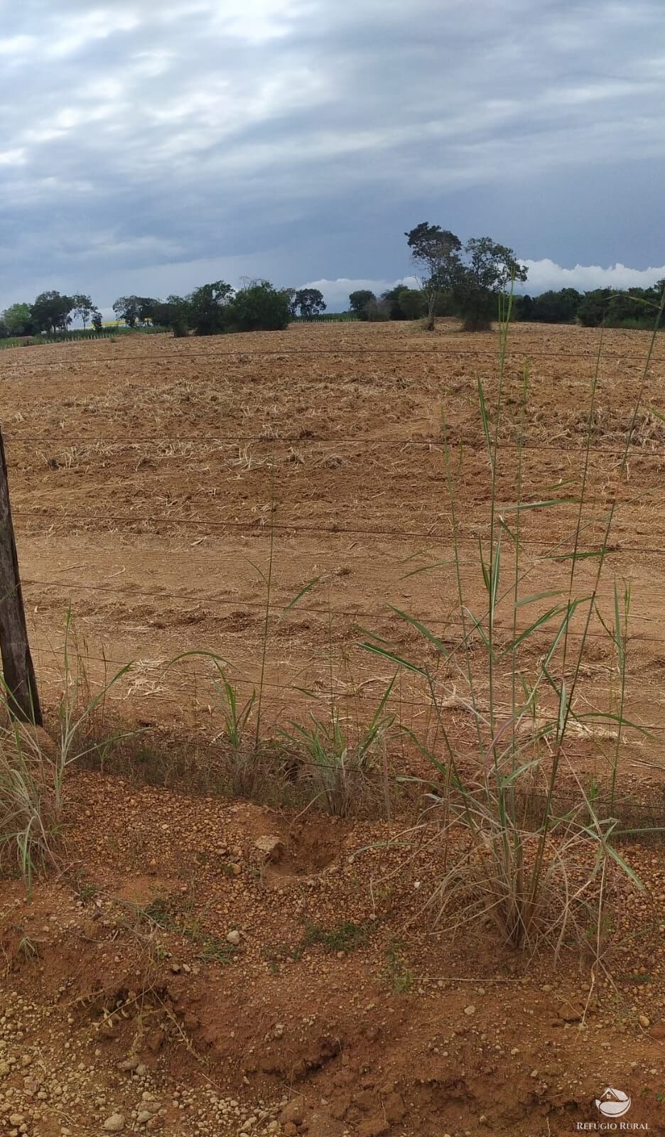 Fazenda à venda com 3 quartos, 8228000m² - Foto 19