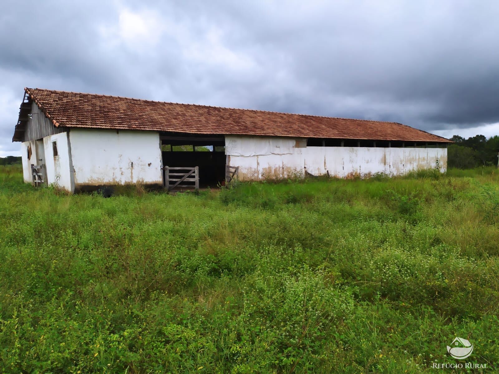 Fazenda à venda com 3 quartos, 8228000m² - Foto 43