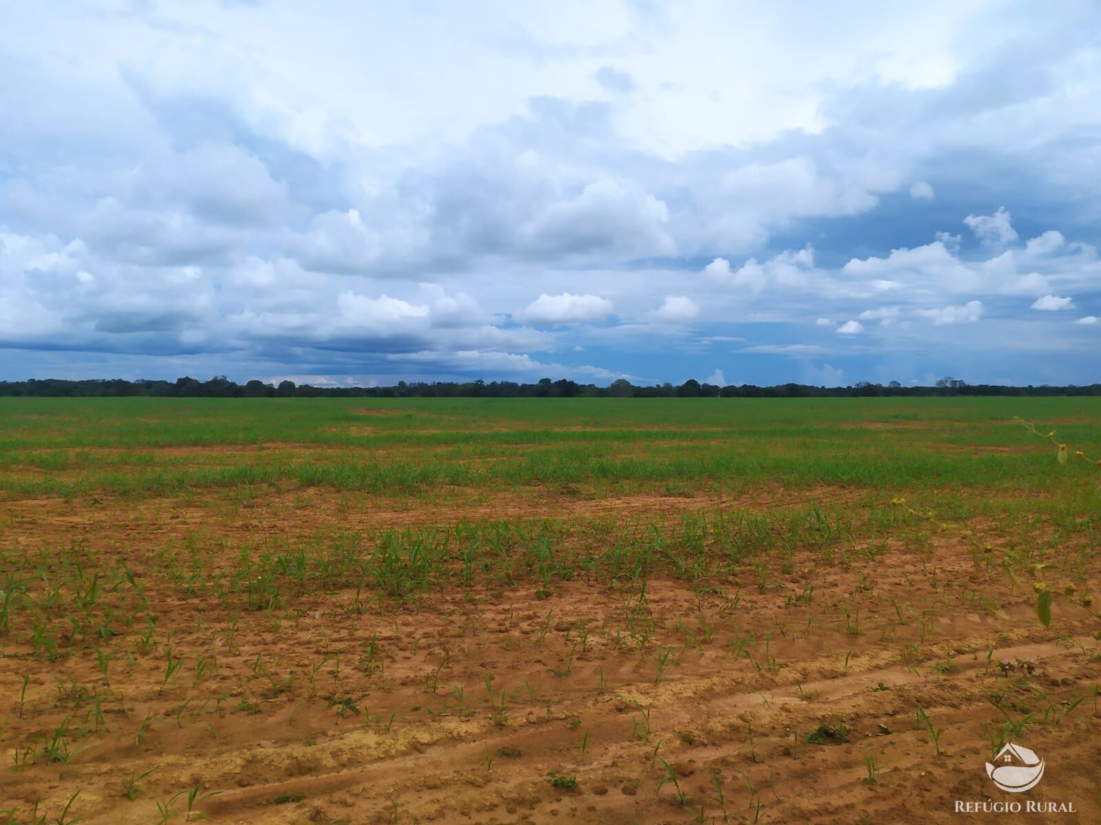 Fazenda à venda com 3 quartos, 8228000m² - Foto 5