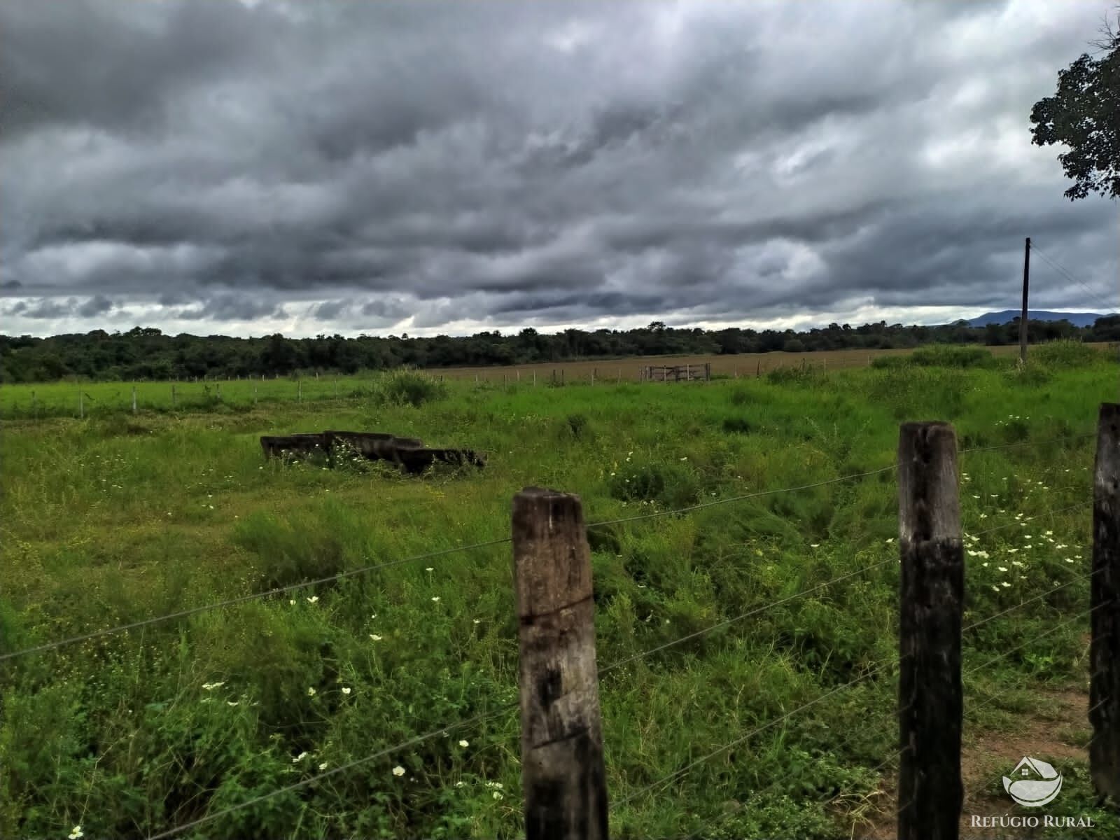 Fazenda à venda com 3 quartos, 8228000m² - Foto 16