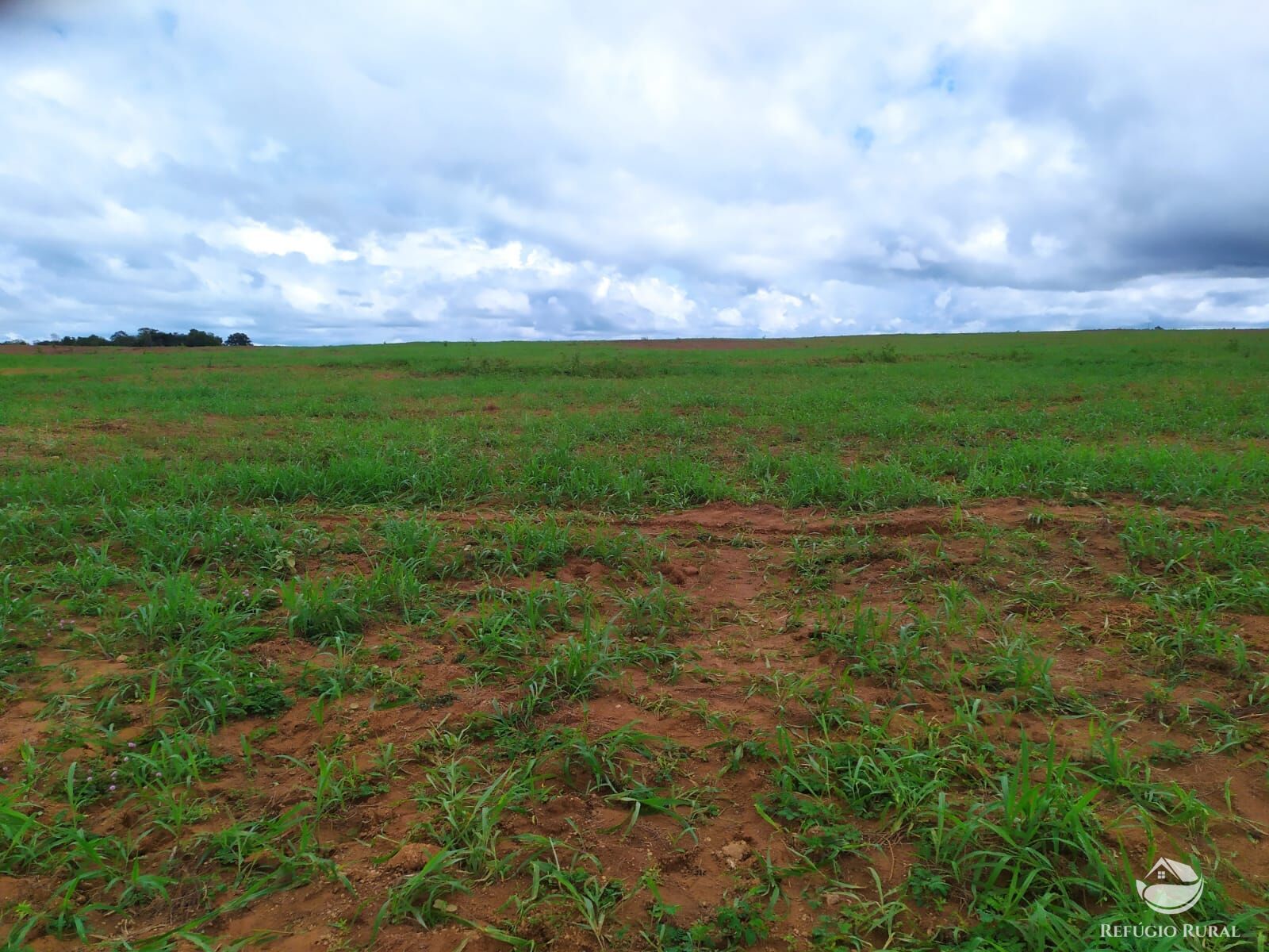 Fazenda à venda com 3 quartos, 8228000m² - Foto 14