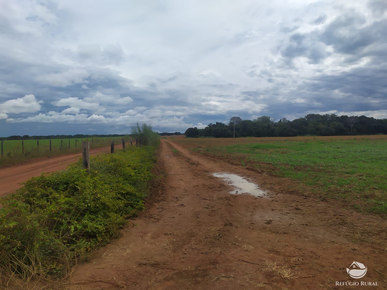 Fazenda à venda com 3 quartos, 8228000m² - Foto 15