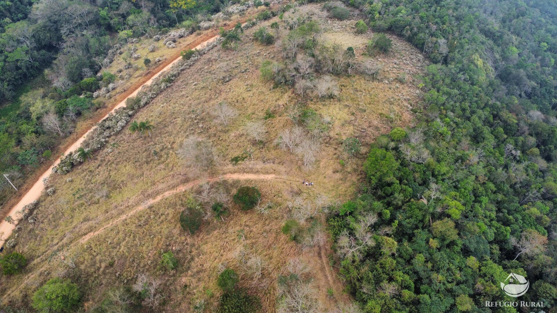 Fazenda à venda com 1 quarto, 242000m² - Foto 31