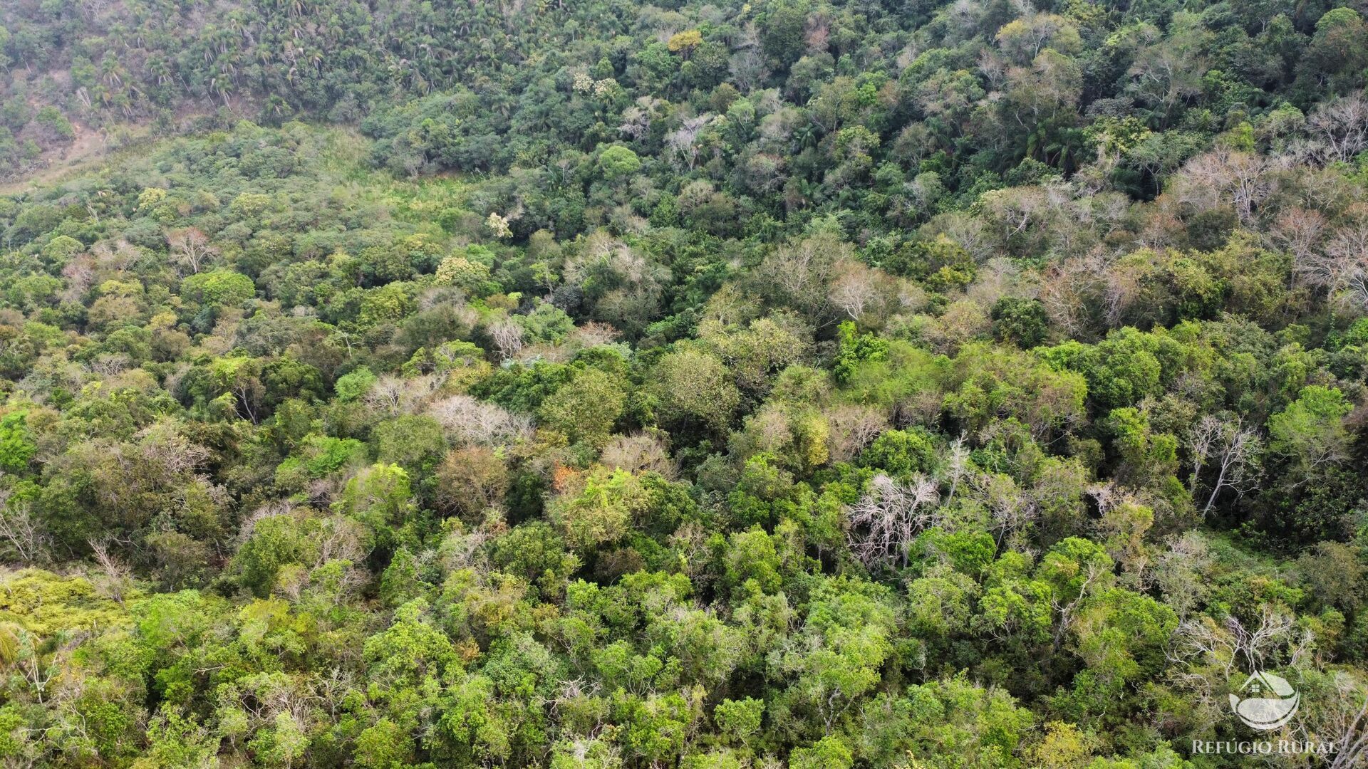 Fazenda à venda com 1 quarto, 242000m² - Foto 23