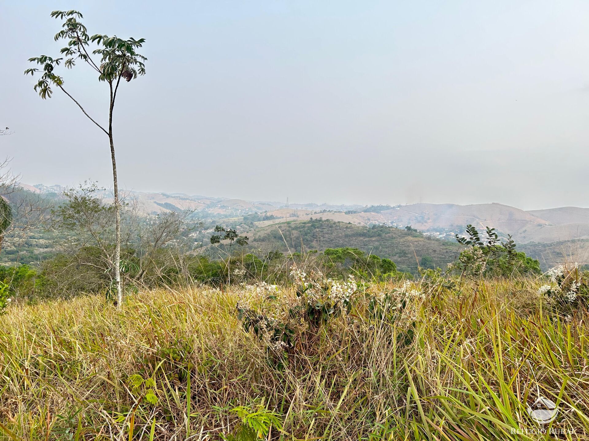 Fazenda à venda com 1 quarto, 242000m² - Foto 26