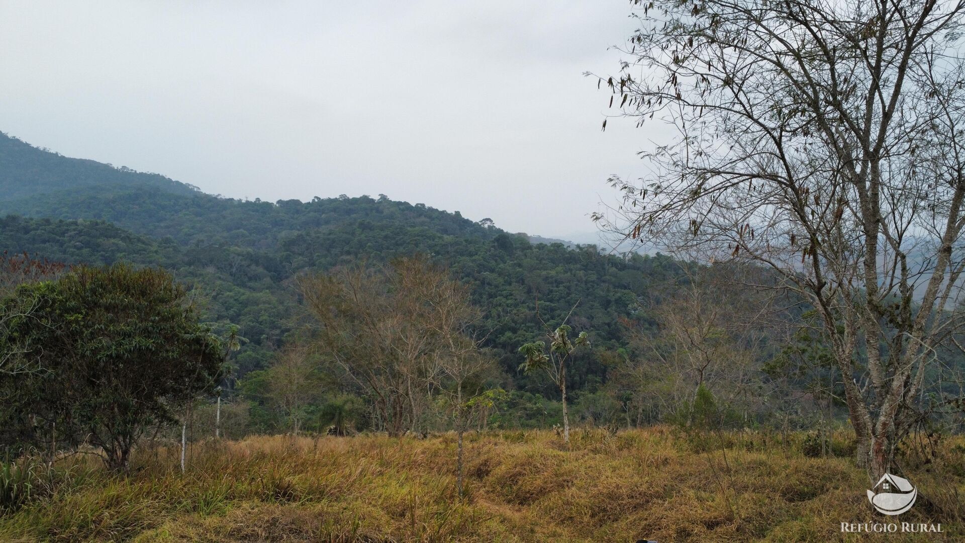 Fazenda à venda com 1 quarto, 242000m² - Foto 21