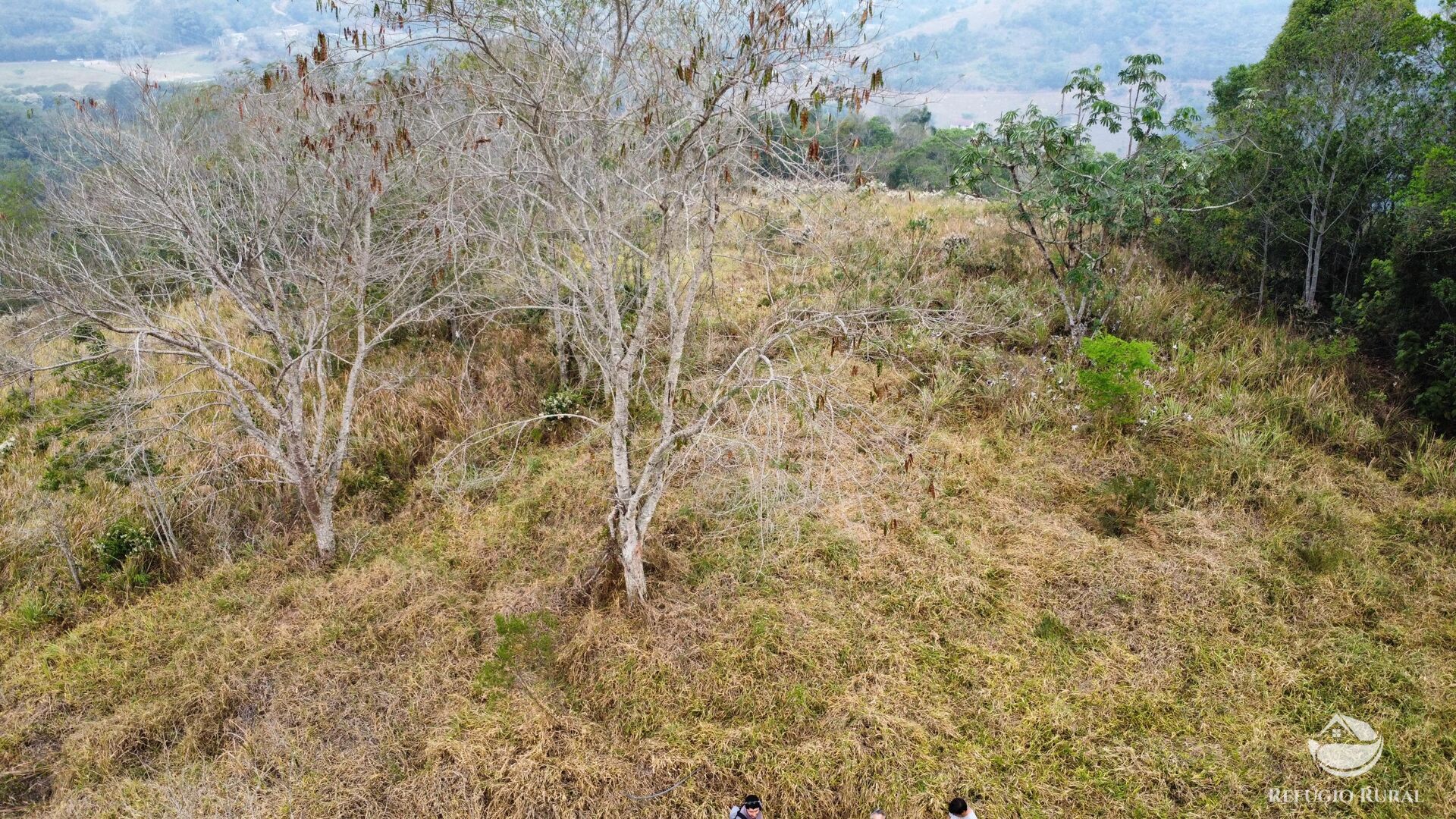 Fazenda à venda com 1 quarto, 242000m² - Foto 14