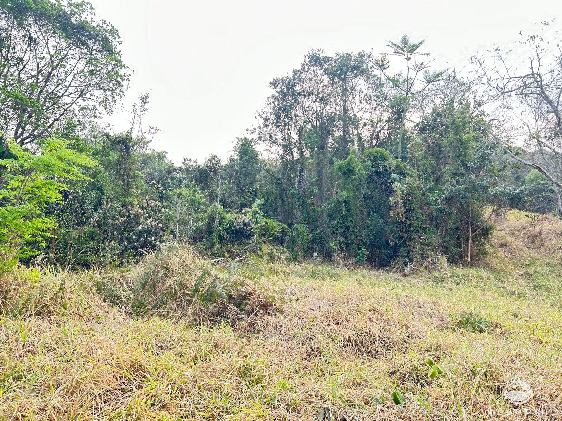 Fazenda à venda com 1 quarto, 242000m² - Foto 20