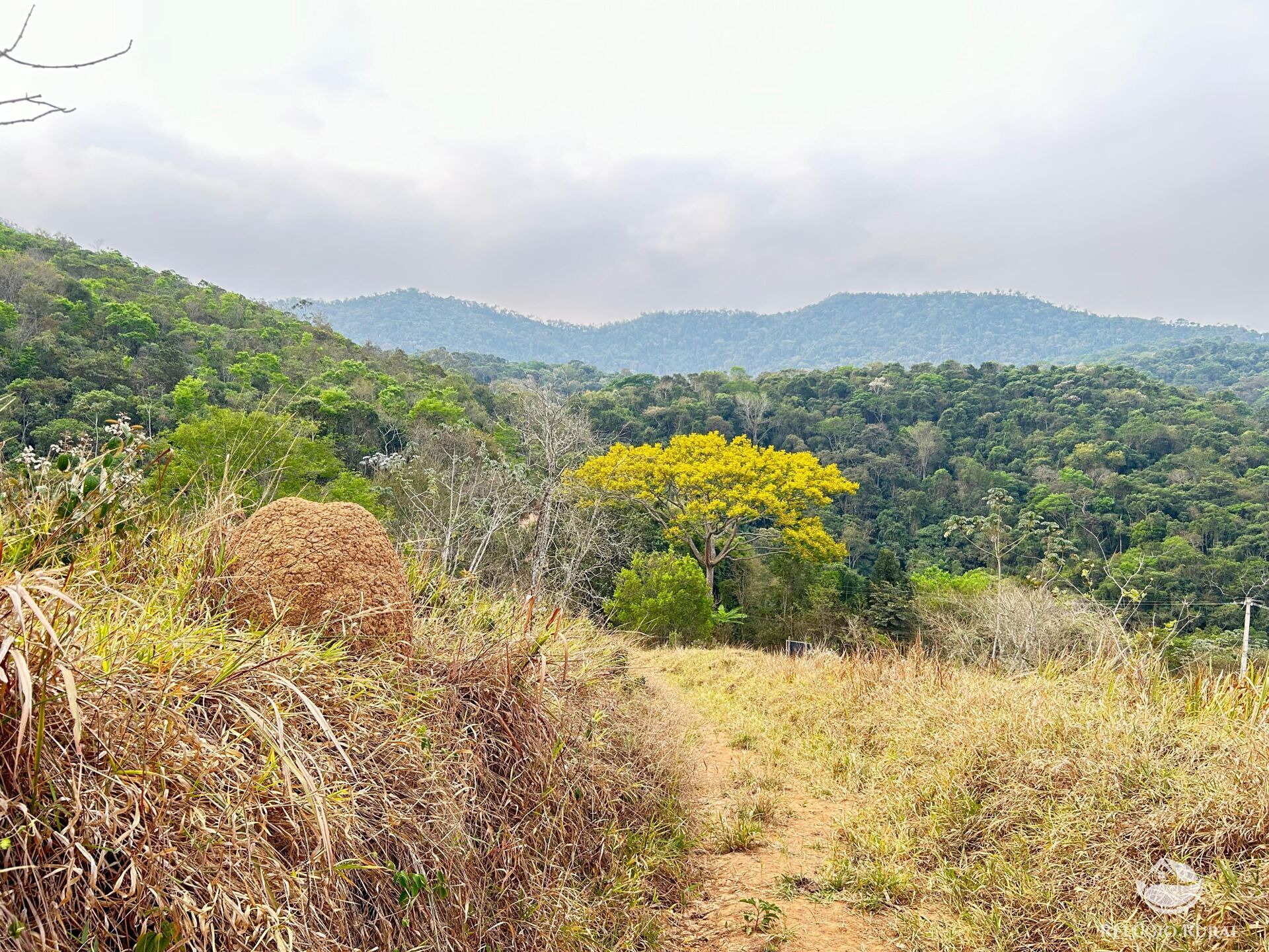 Fazenda à venda com 1 quarto, 242000m² - Foto 38