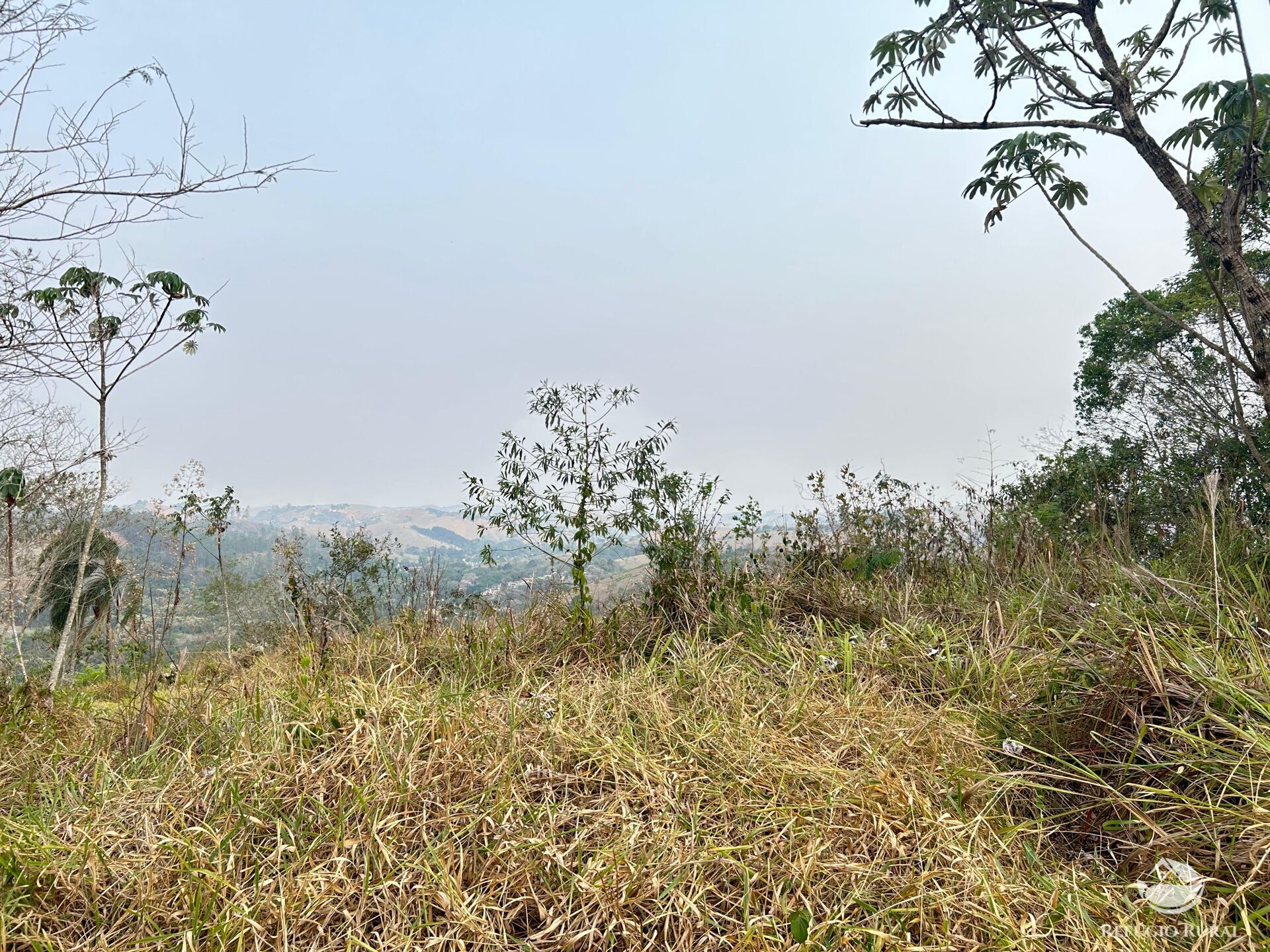 Fazenda à venda com 1 quarto, 242000m² - Foto 35