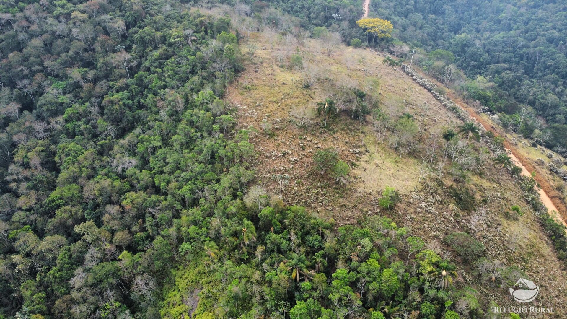 Fazenda à venda com 1 quarto, 242000m² - Foto 17