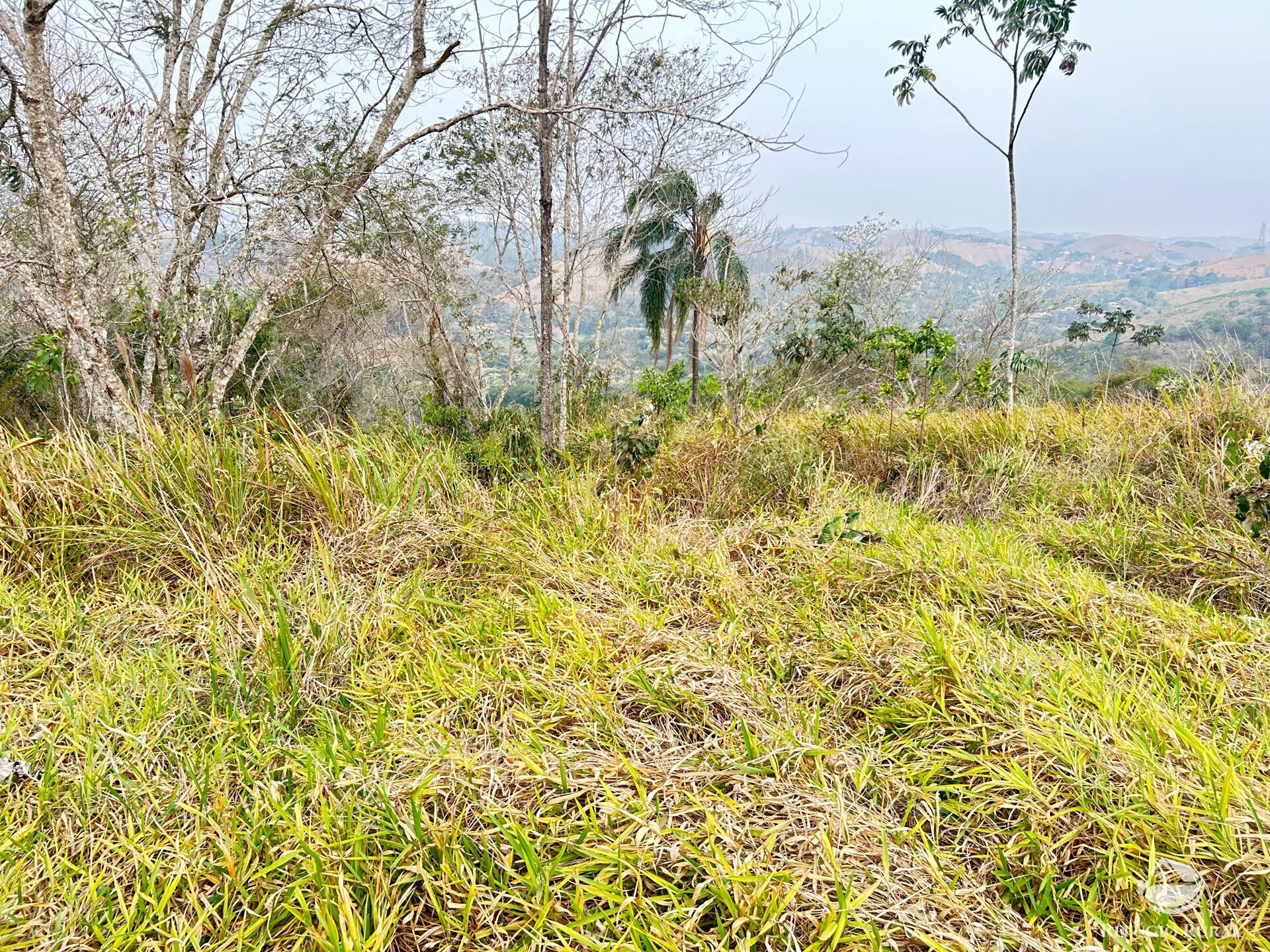 Fazenda à venda com 1 quarto, 242000m² - Foto 37