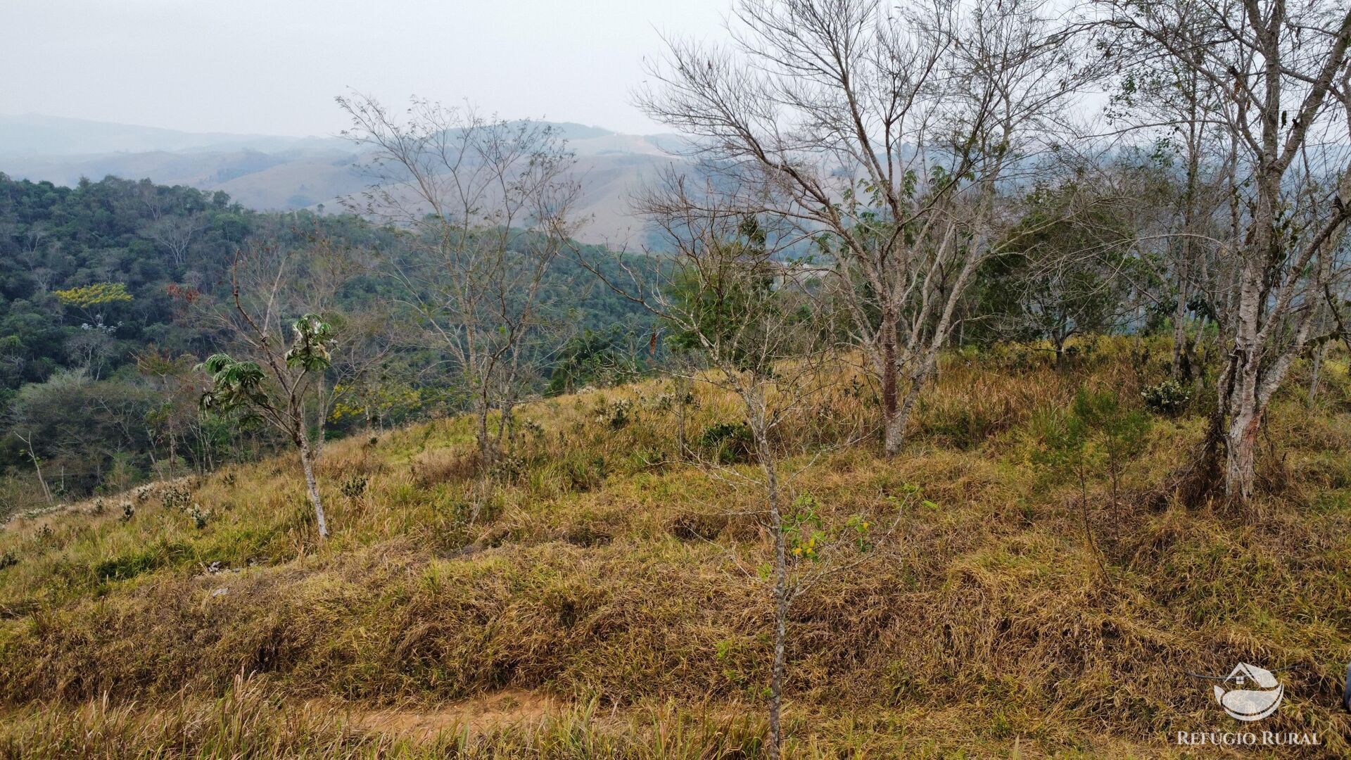 Fazenda à venda com 1 quarto, 242000m² - Foto 18