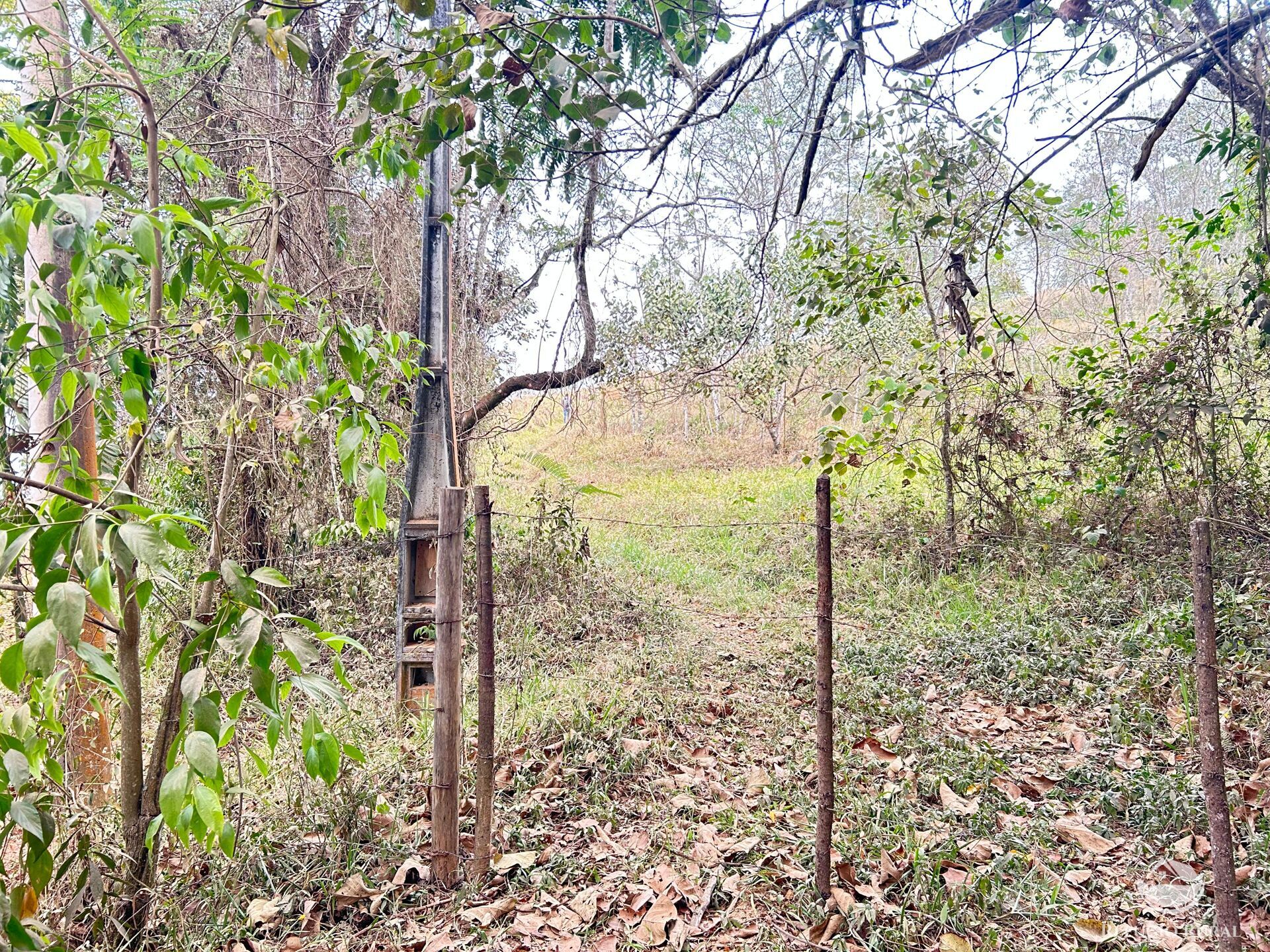 Fazenda à venda com 1 quarto, 242000m² - Foto 5