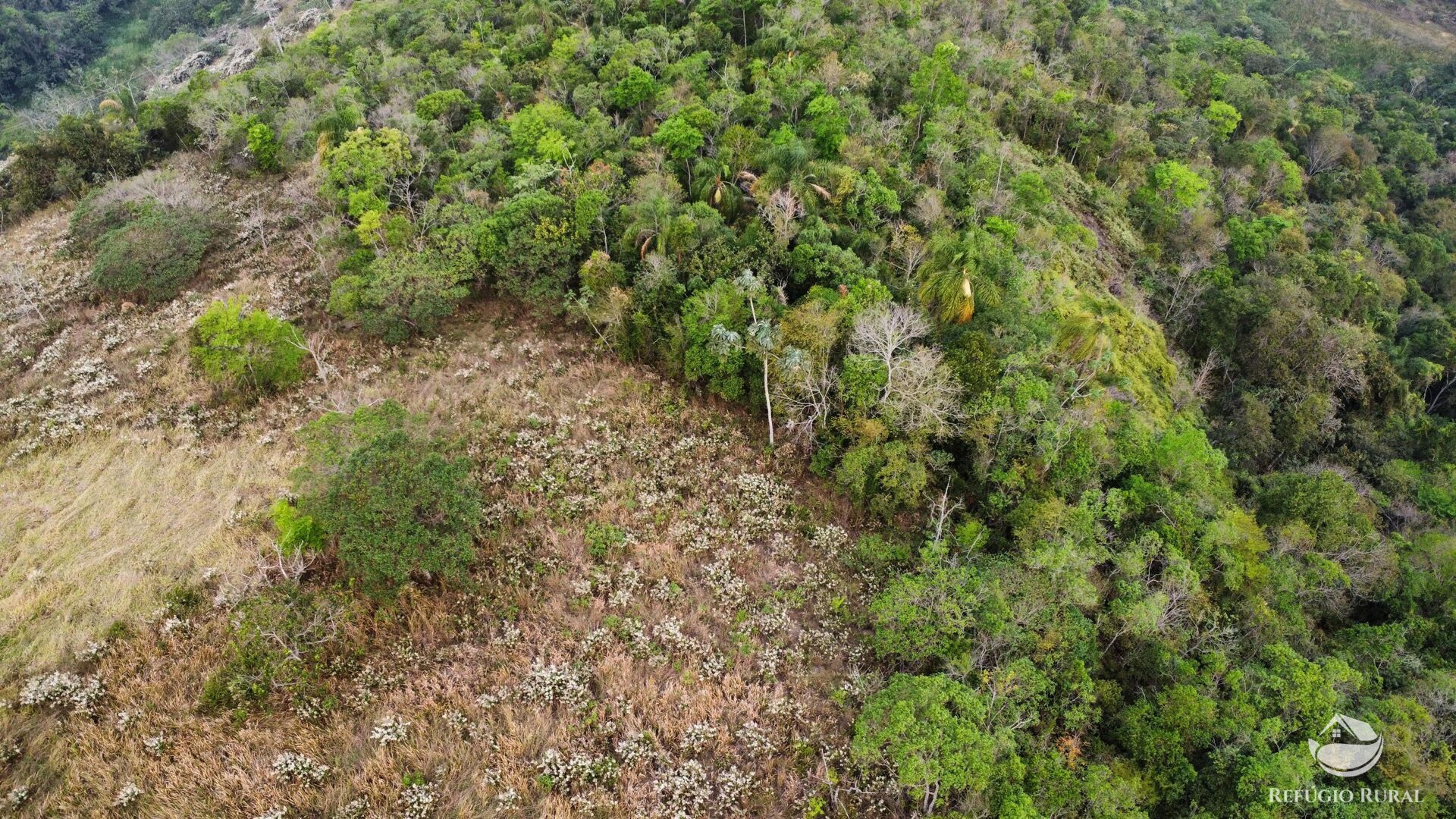 Fazenda à venda com 1 quarto, 242000m² - Foto 41