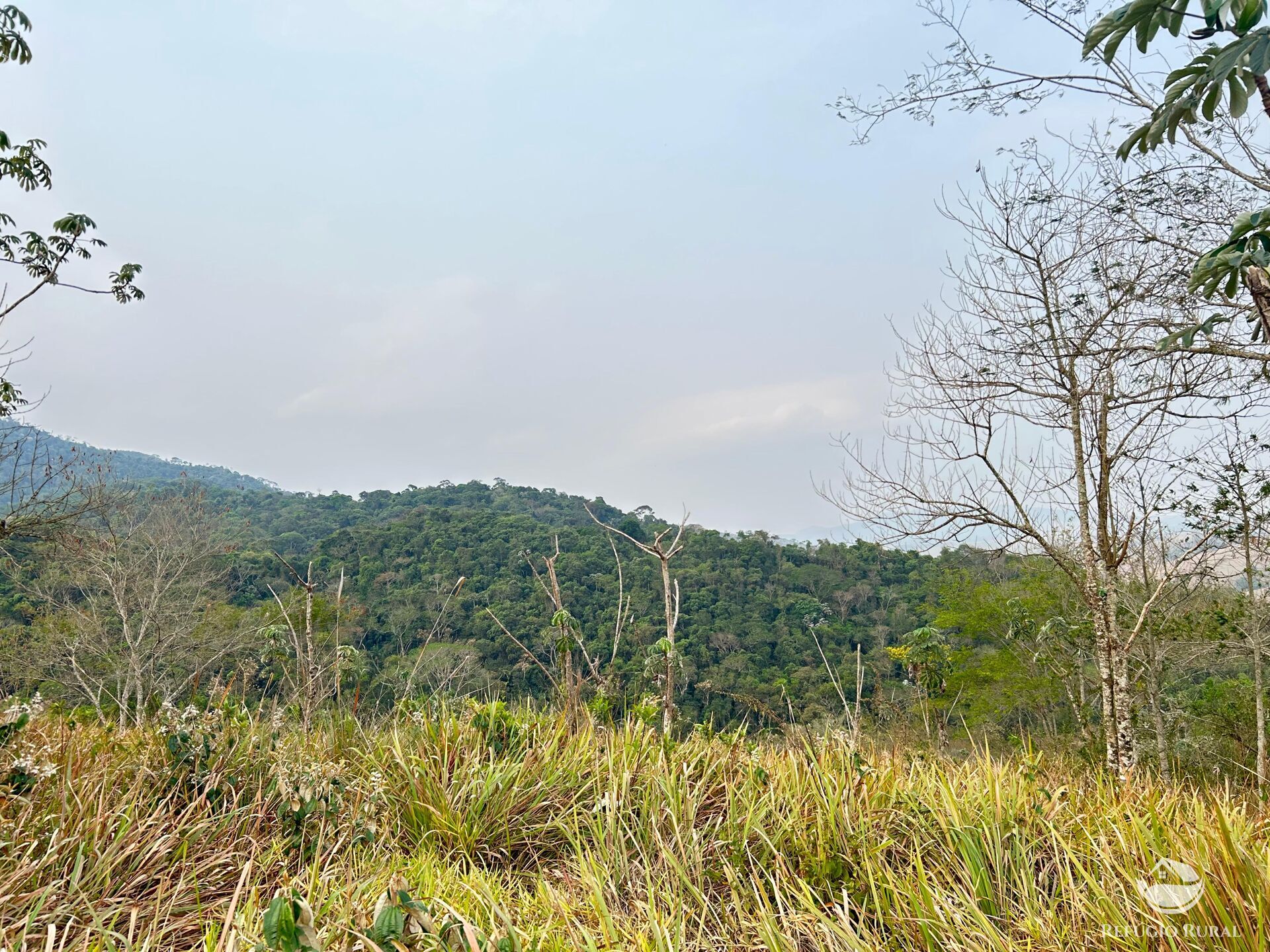 Fazenda à venda com 1 quarto, 242000m² - Foto 34