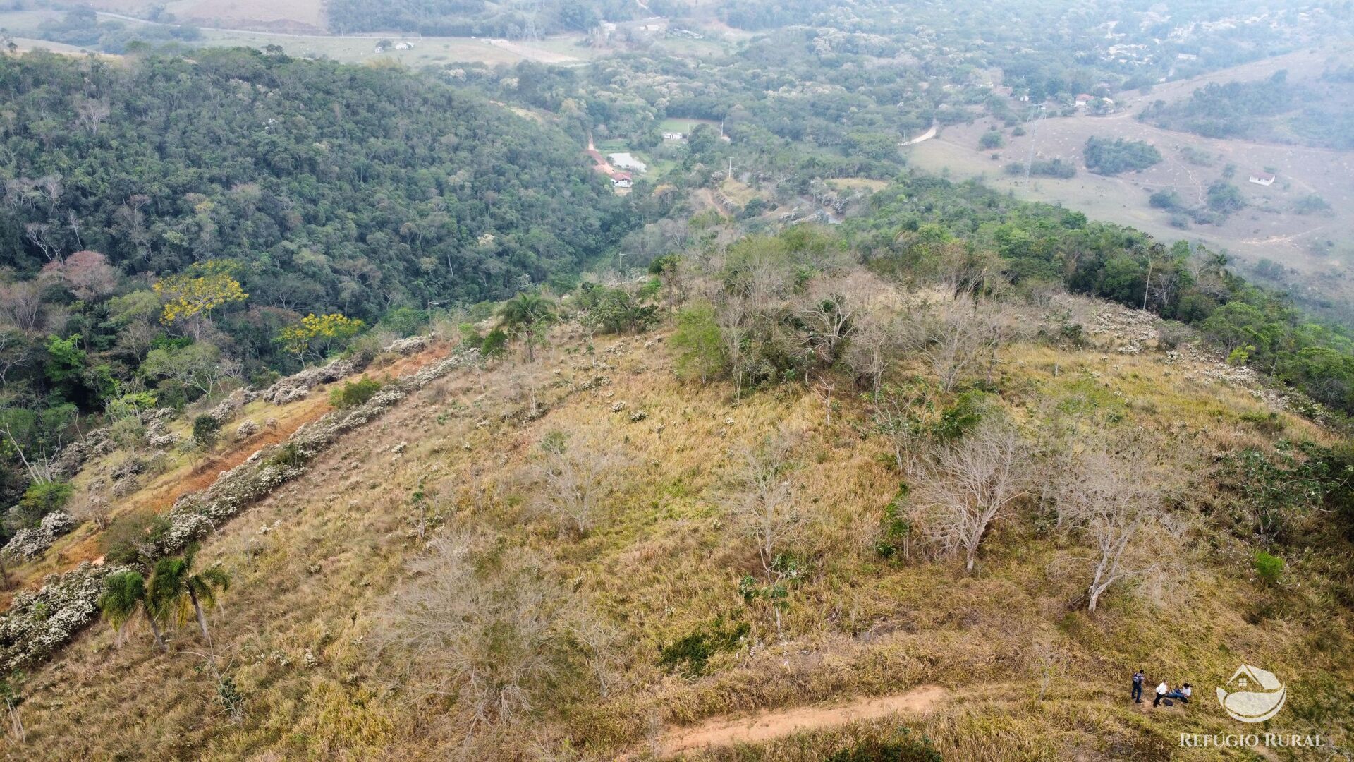 Fazenda à venda com 1 quarto, 242000m² - Foto 15