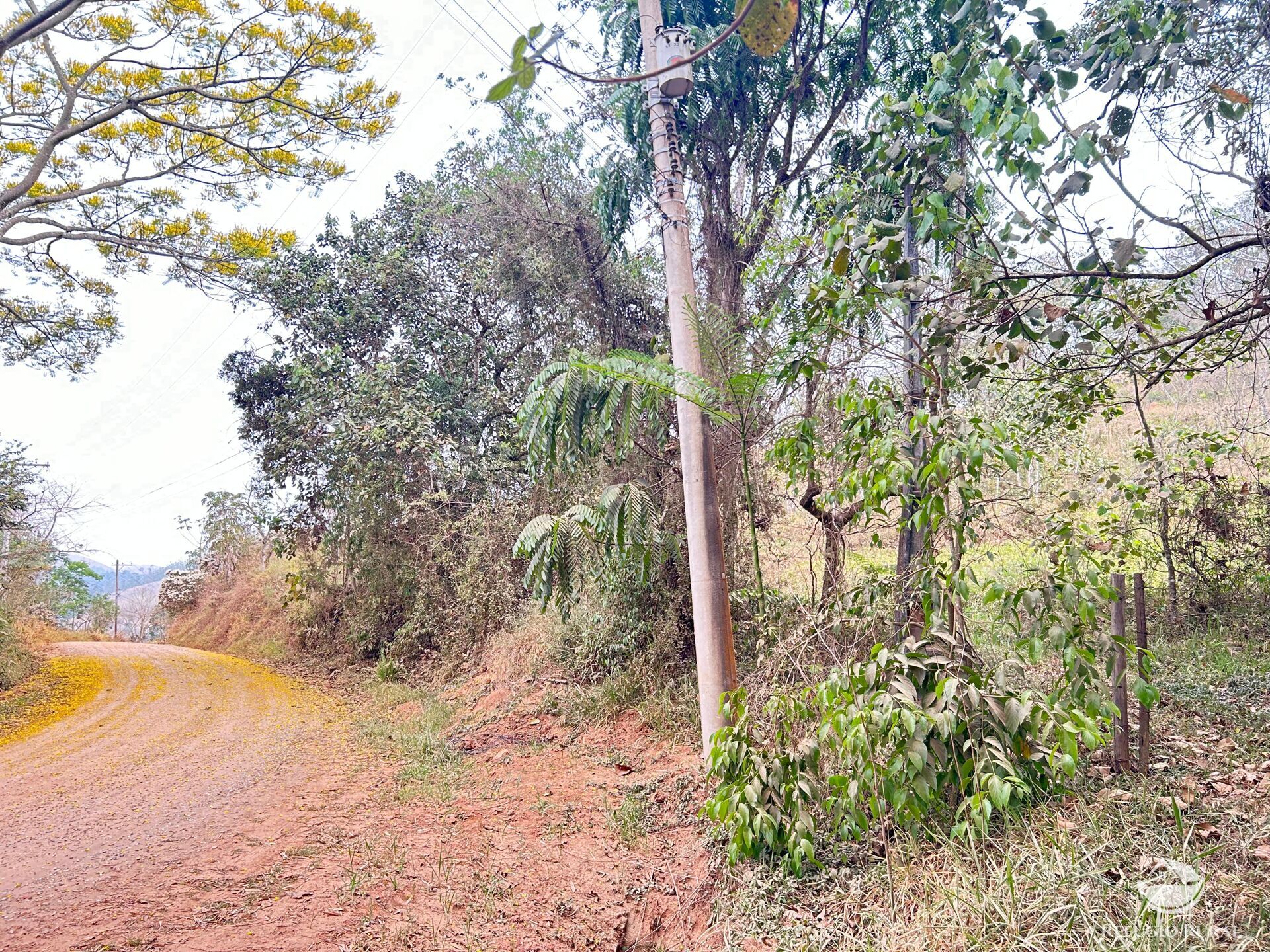 Fazenda à venda com 1 quarto, 242000m² - Foto 22