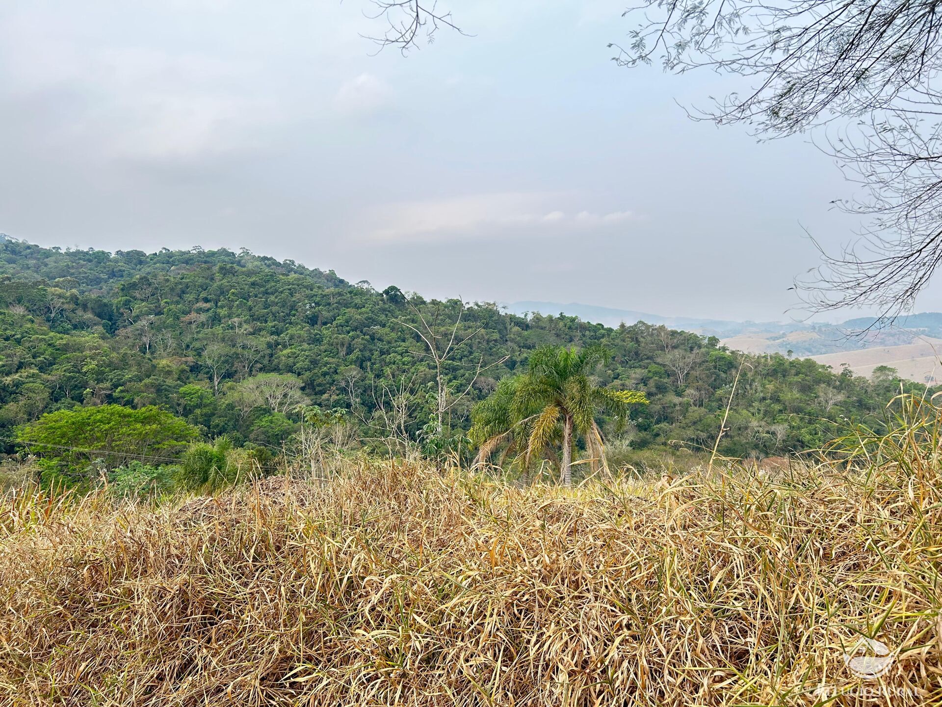 Fazenda à venda com 1 quarto, 242000m² - Foto 33