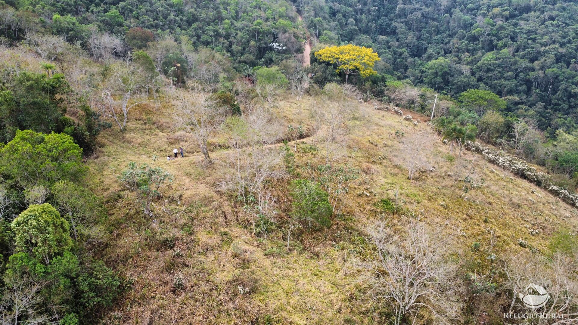 Fazenda à venda com 1 quarto, 242000m² - Foto 3