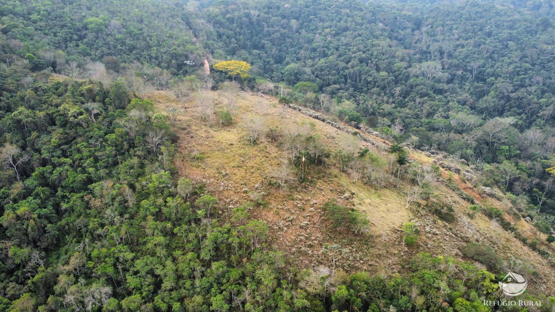 Fazenda à venda com 1 quarto, 242000m² - Foto 4