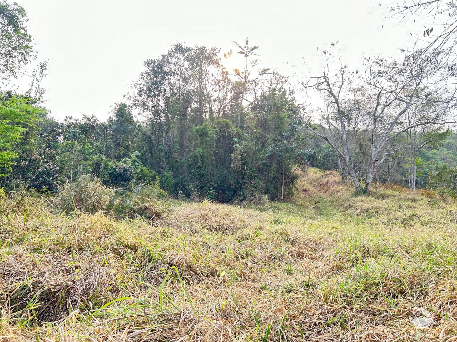 Fazenda à venda com 1 quarto, 242000m² - Foto 19