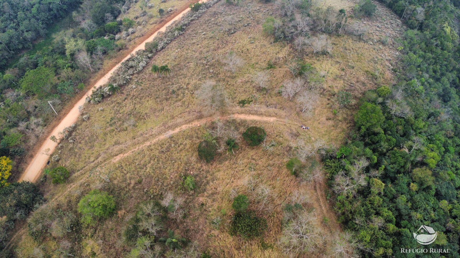 Fazenda à venda com 1 quarto, 242000m² - Foto 32