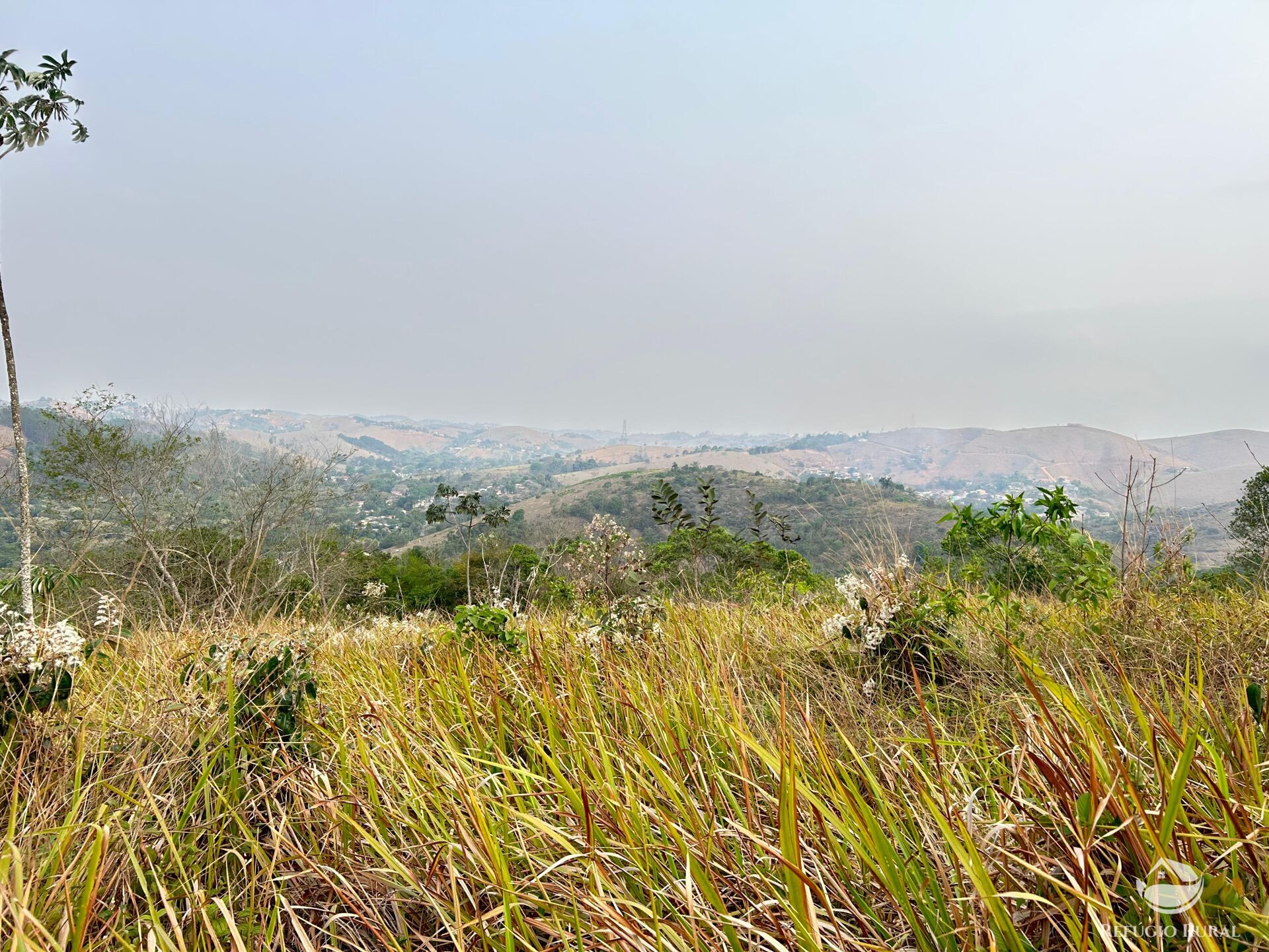 Fazenda à venda com 1 quarto, 242000m² - Foto 27