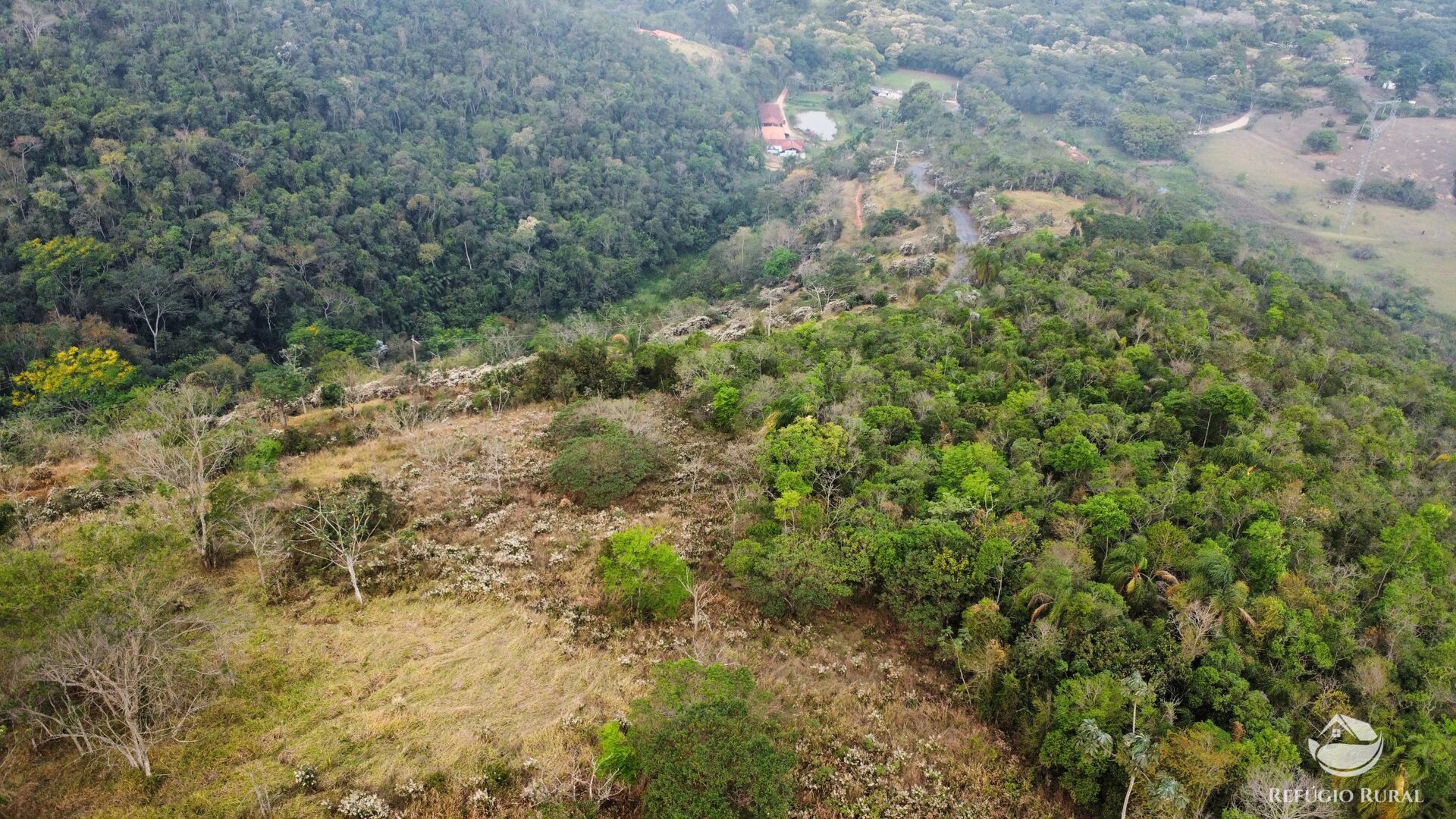 Fazenda à venda com 1 quarto, 242000m² - Foto 1