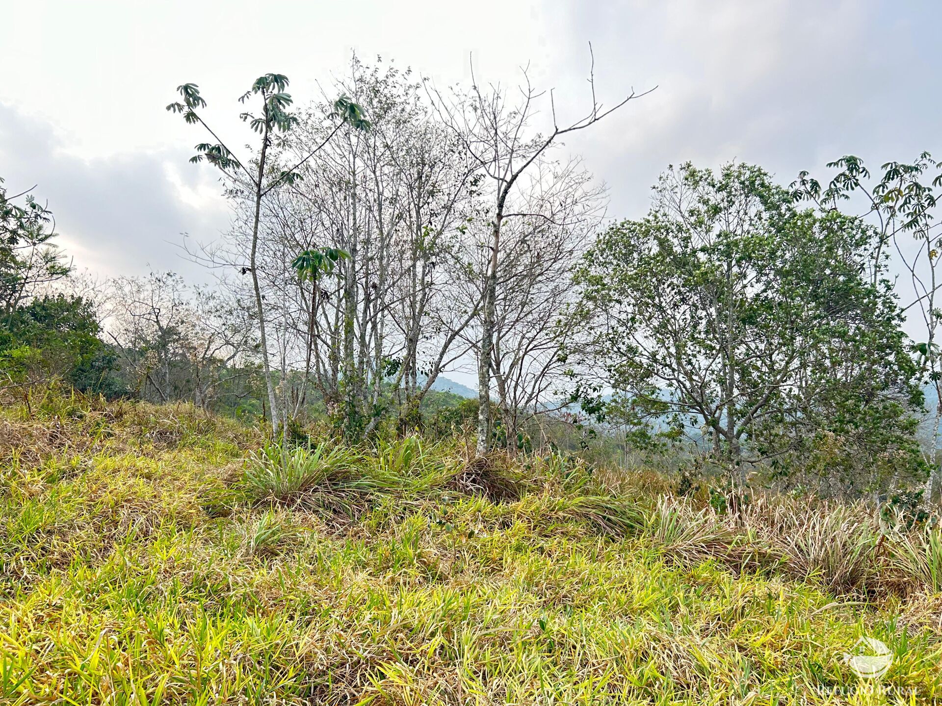 Fazenda à venda com 1 quarto, 242000m² - Foto 40