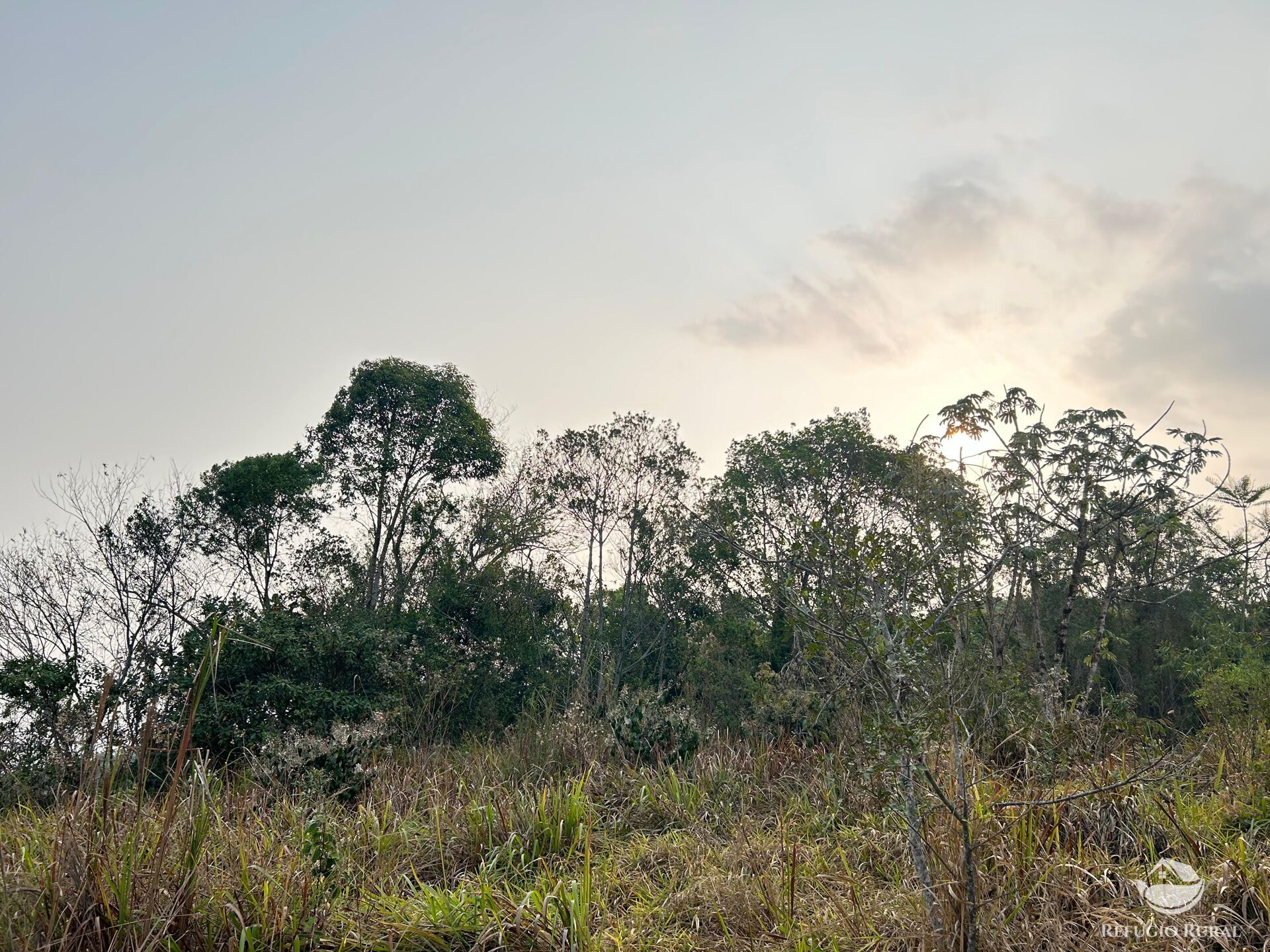 Fazenda à venda com 1 quarto, 242000m² - Foto 30