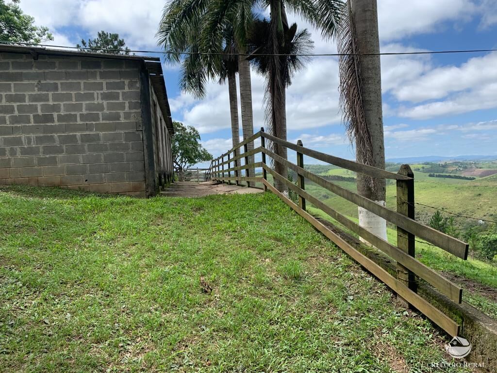 Fazenda à venda com 4 quartos, 224008m² - Foto 23