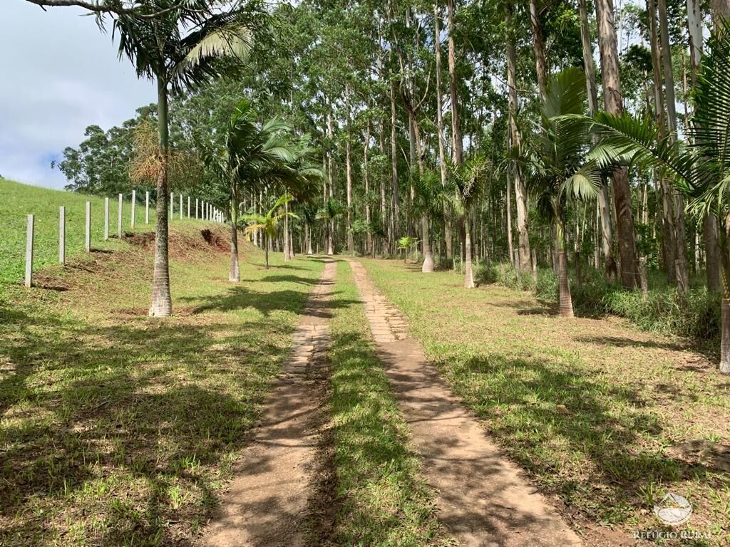 Fazenda à venda com 4 quartos, 224008m² - Foto 7