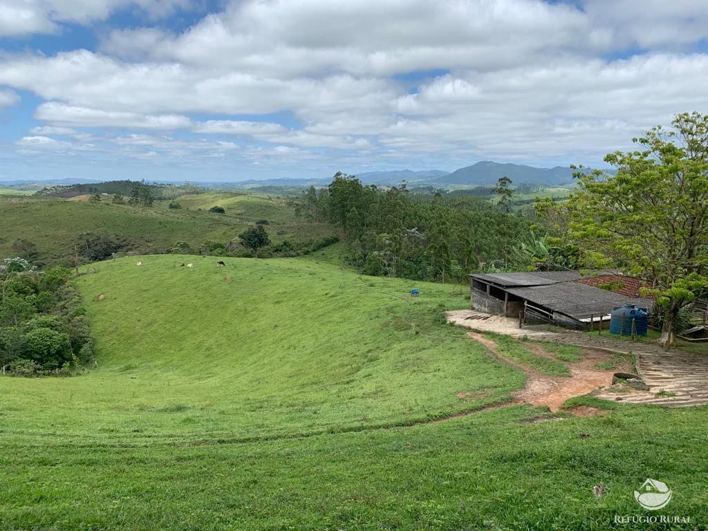 Fazenda à venda com 4 quartos, 224008m² - Foto 39