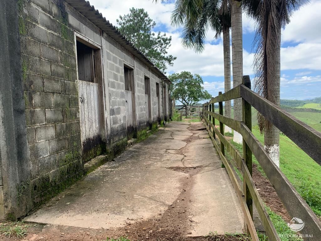 Fazenda à venda com 4 quartos, 224008m² - Foto 34