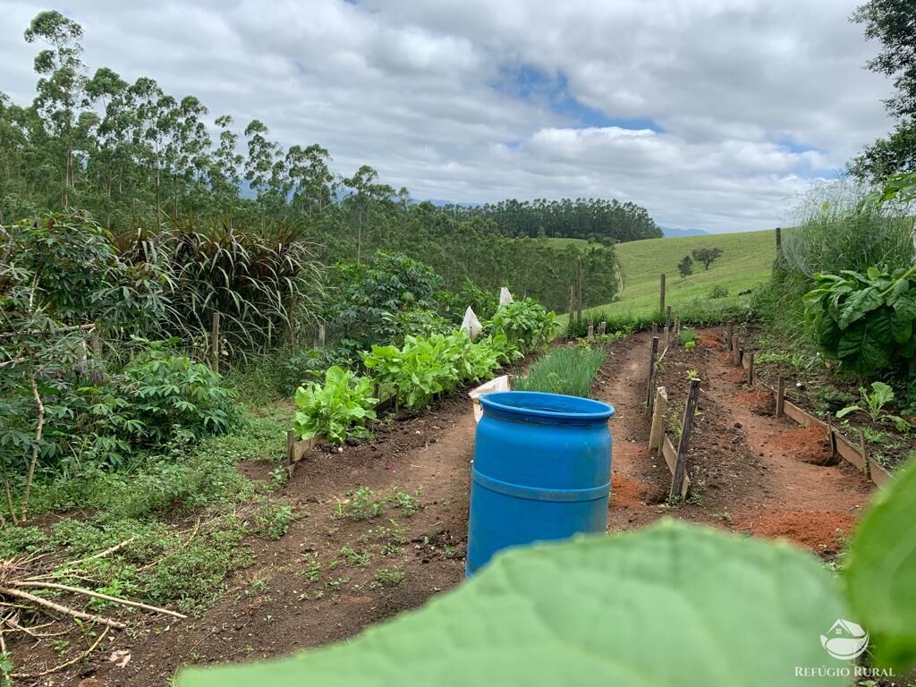 Fazenda à venda com 4 quartos, 224008m² - Foto 26