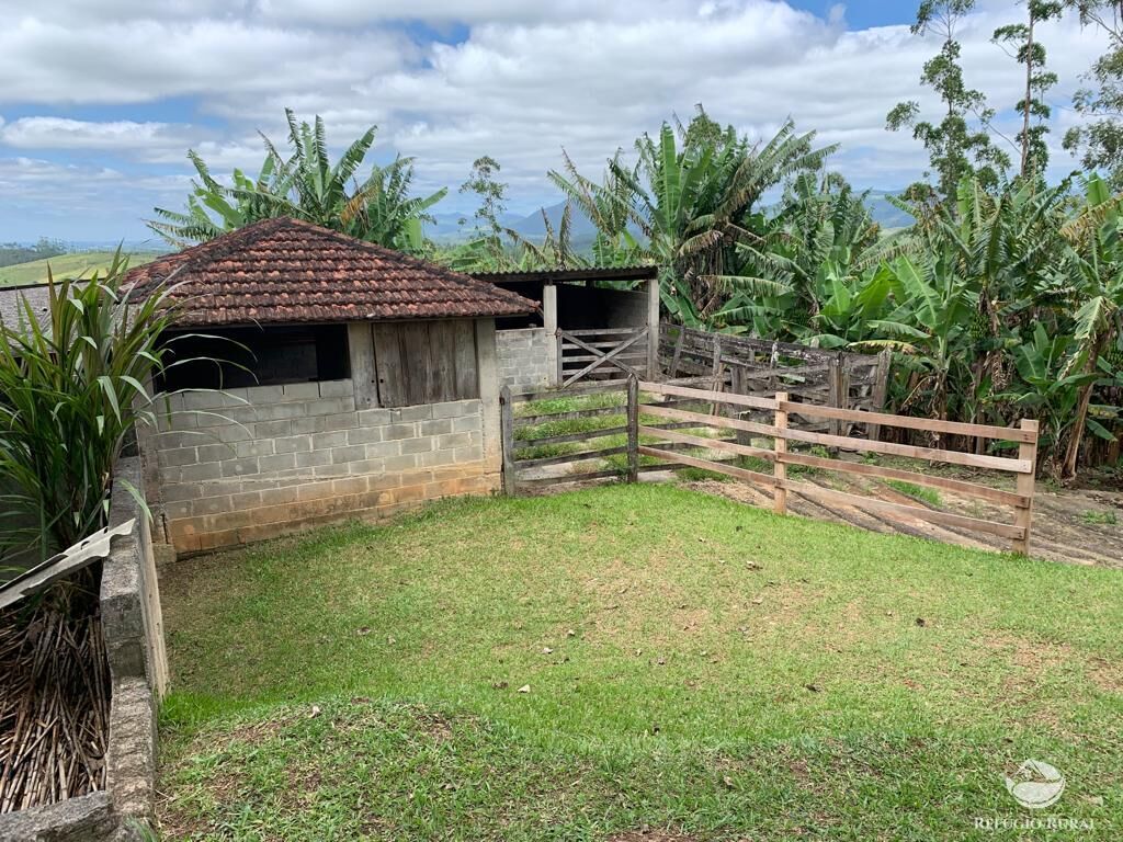 Fazenda à venda com 4 quartos, 224008m² - Foto 29