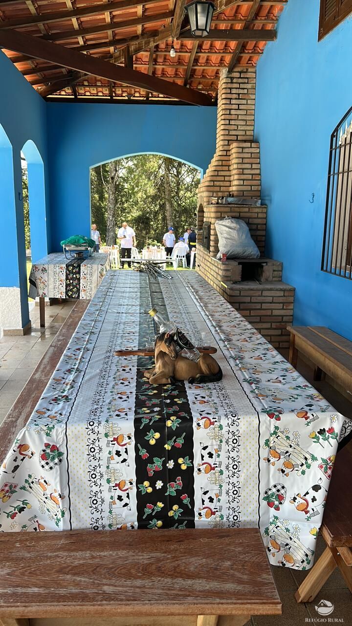 Fazenda, 22 hectares - Foto 4