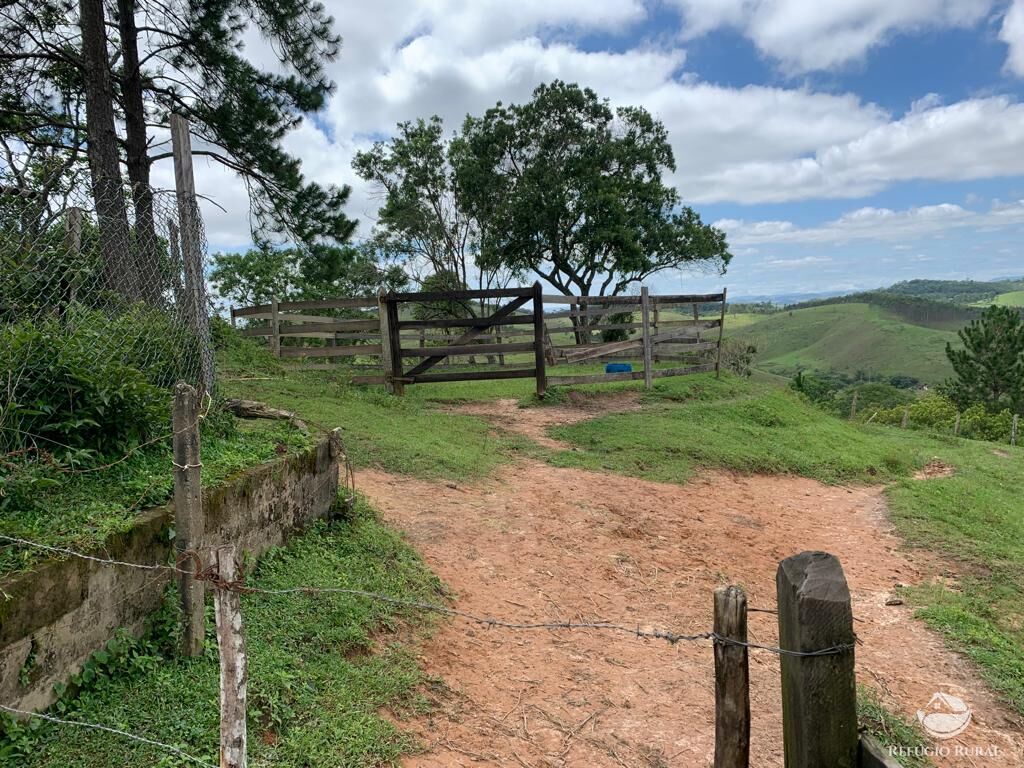 Fazenda à venda com 4 quartos, 224008m² - Foto 41