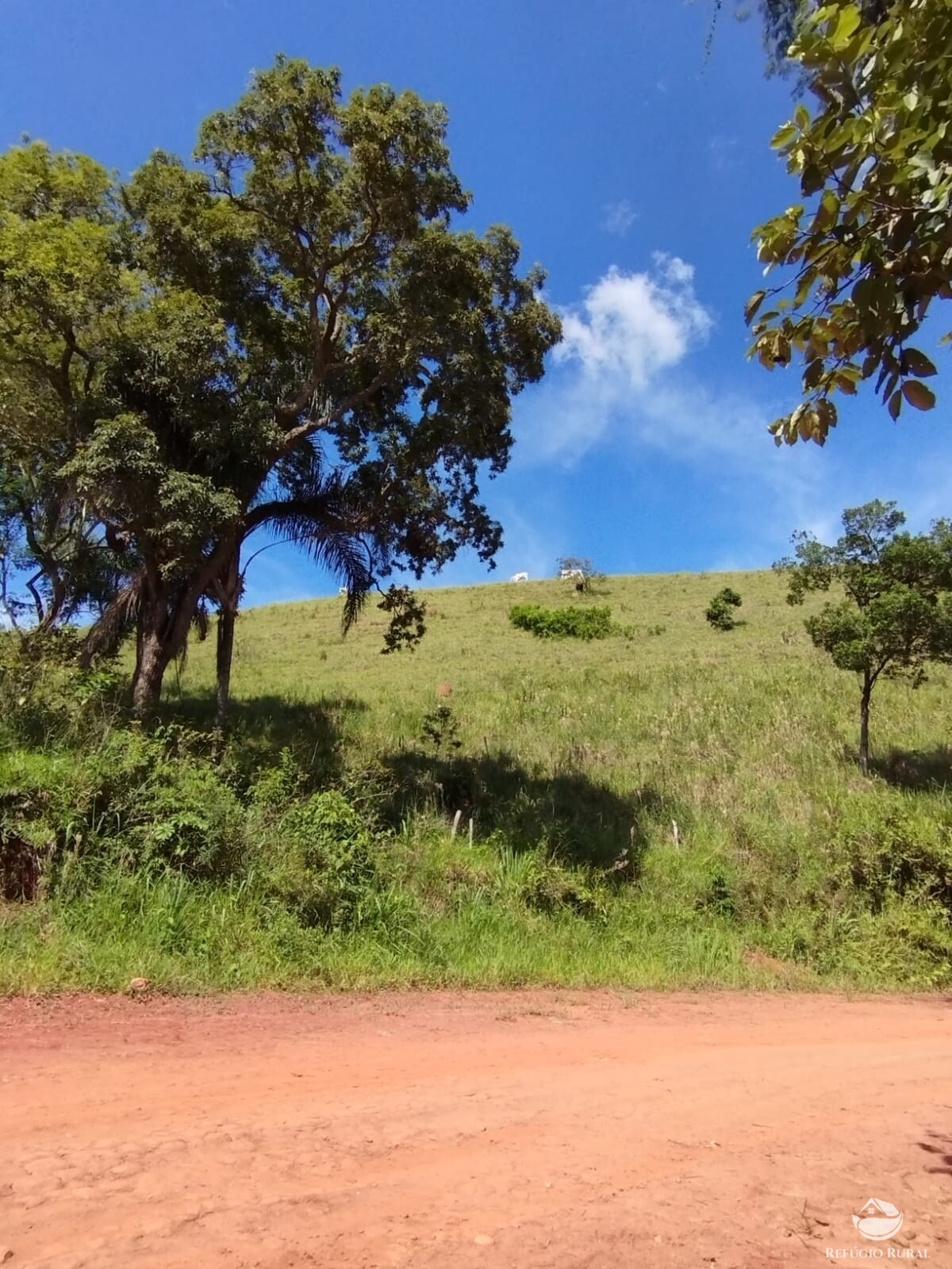 Fazenda à venda com 1 quarto, 2976600m² - Foto 4