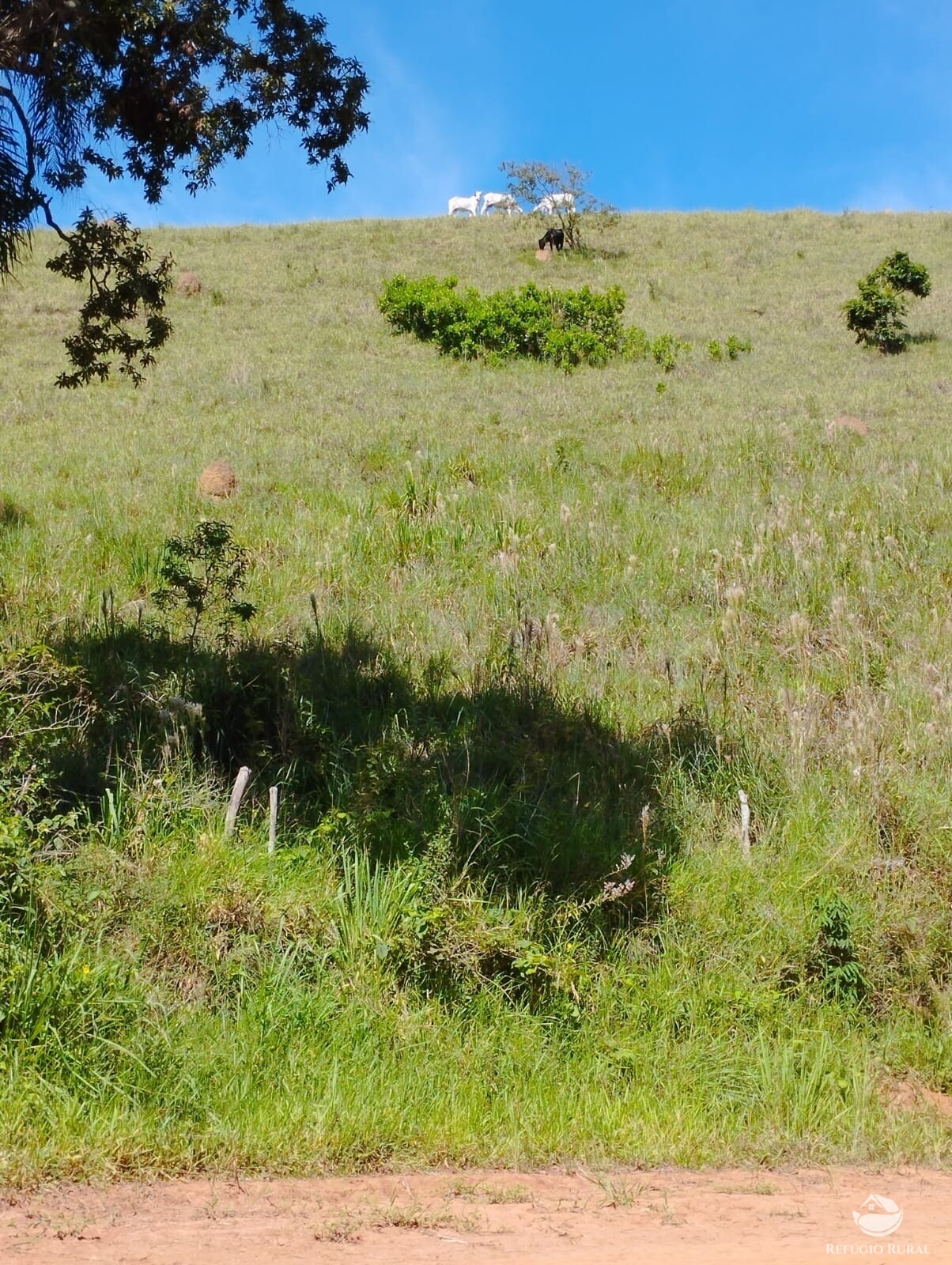 Fazenda à venda com 1 quarto, 2976600m² - Foto 5