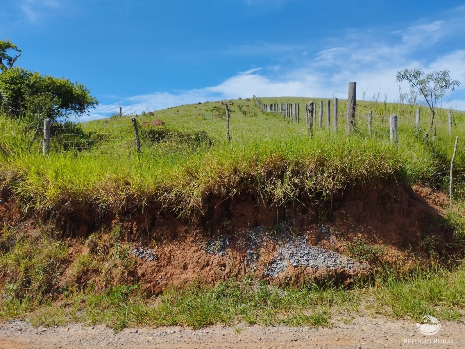 Fazenda à venda com 1 quarto, 2976600m² - Foto 10