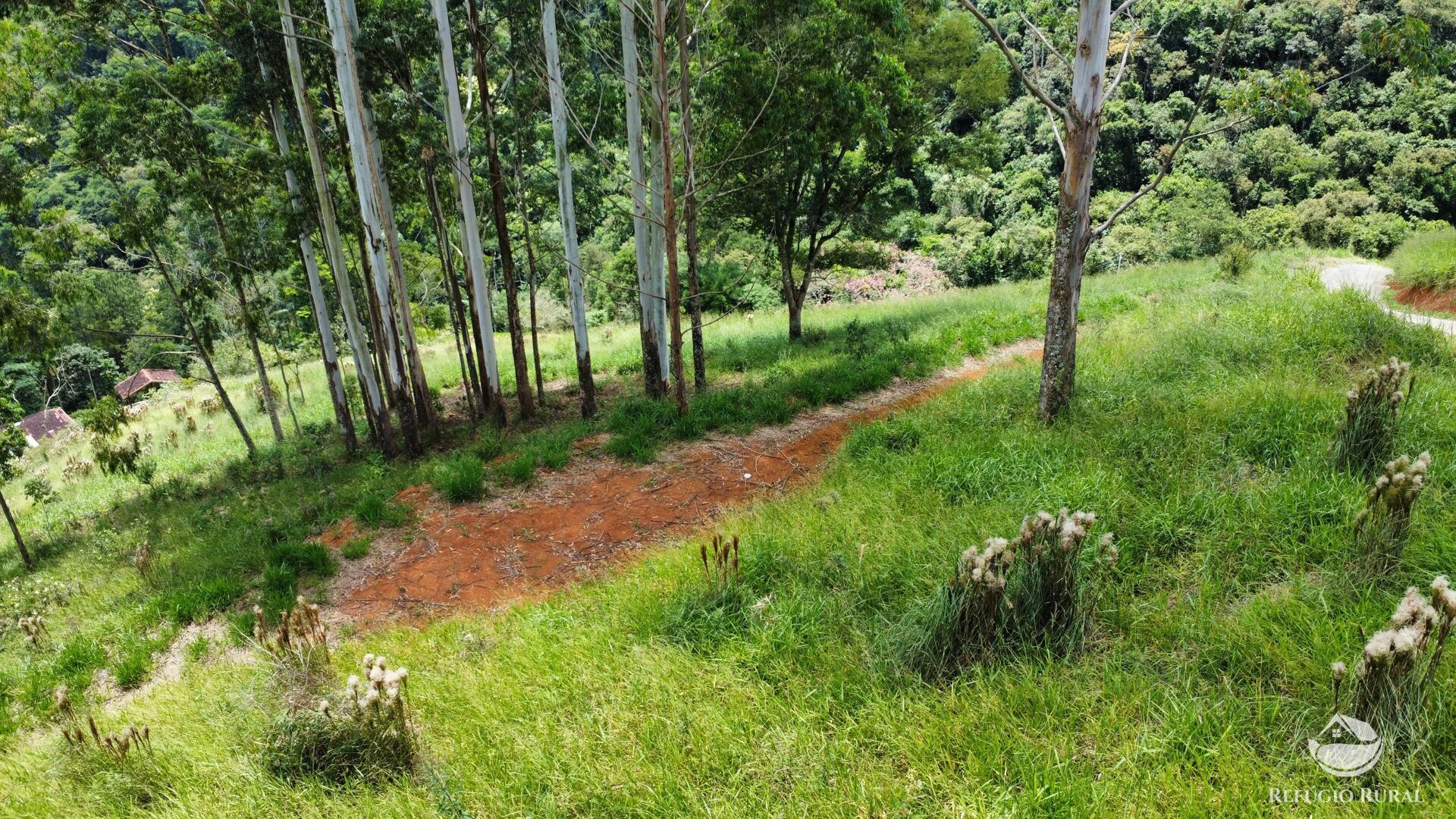 Terreno à venda, 20854m² - Foto 4