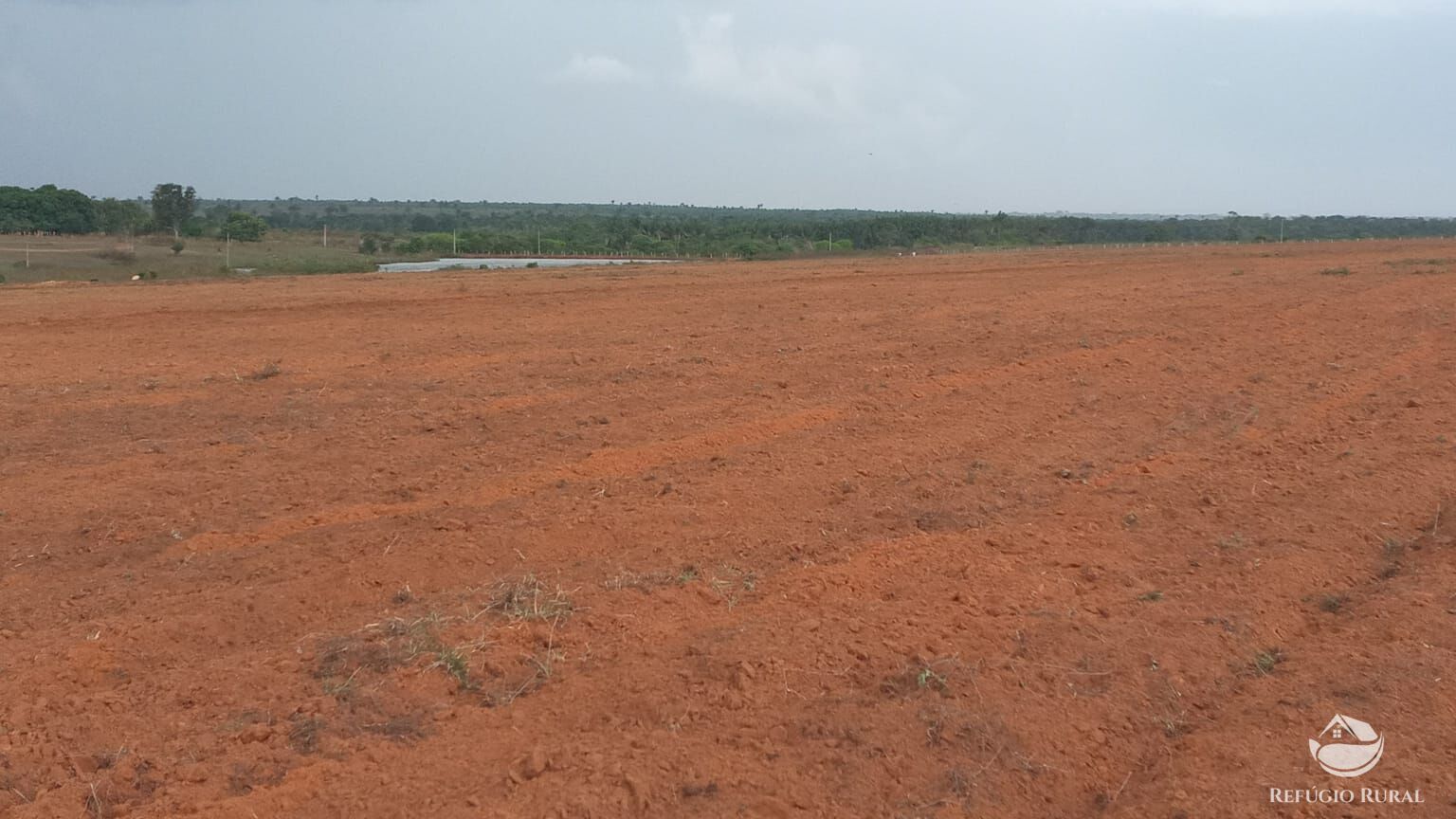 Fazenda para alugar com 1 quarto, 93000000m² - Foto 8