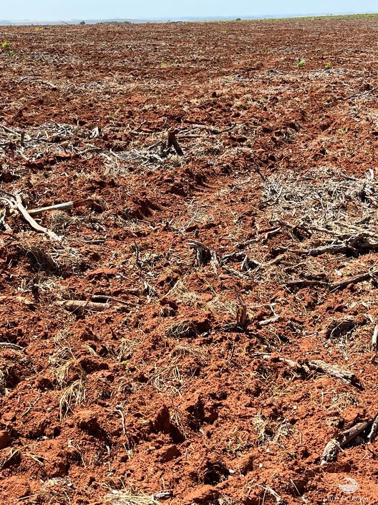 Fazenda para alugar com 1 quarto, 93000000m² - Foto 7