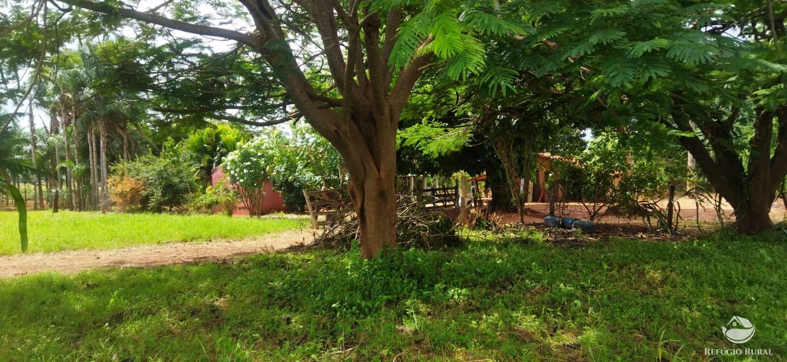 Sítio à venda com 1 quarto, 48400m² - Foto 3