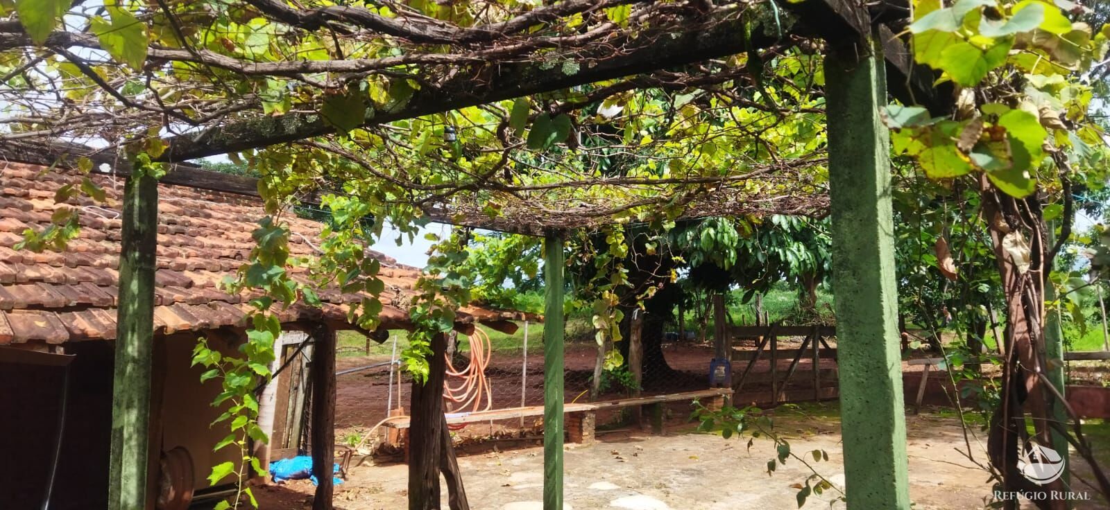 Sítio à venda com 1 quarto, 48400m² - Foto 20