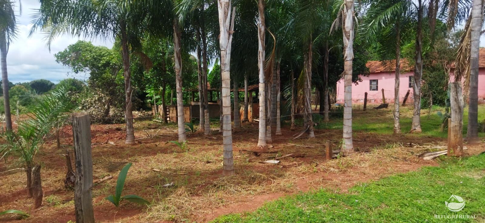 Sítio à venda com 1 quarto, 48400m² - Foto 2