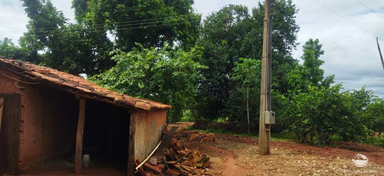 Sítio à venda com 1 quarto, 48400m² - Foto 9