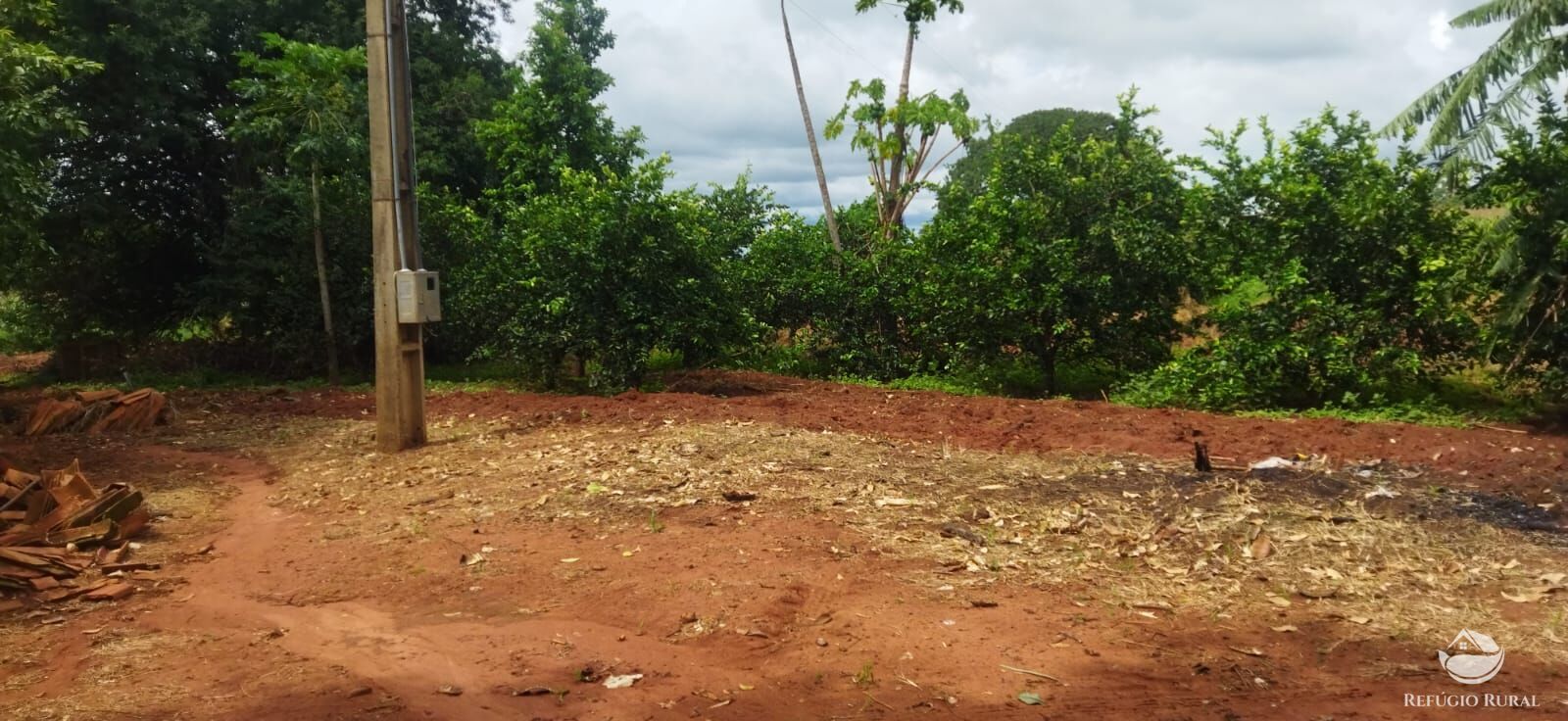 Sítio à venda com 1 quarto, 48400m² - Foto 13